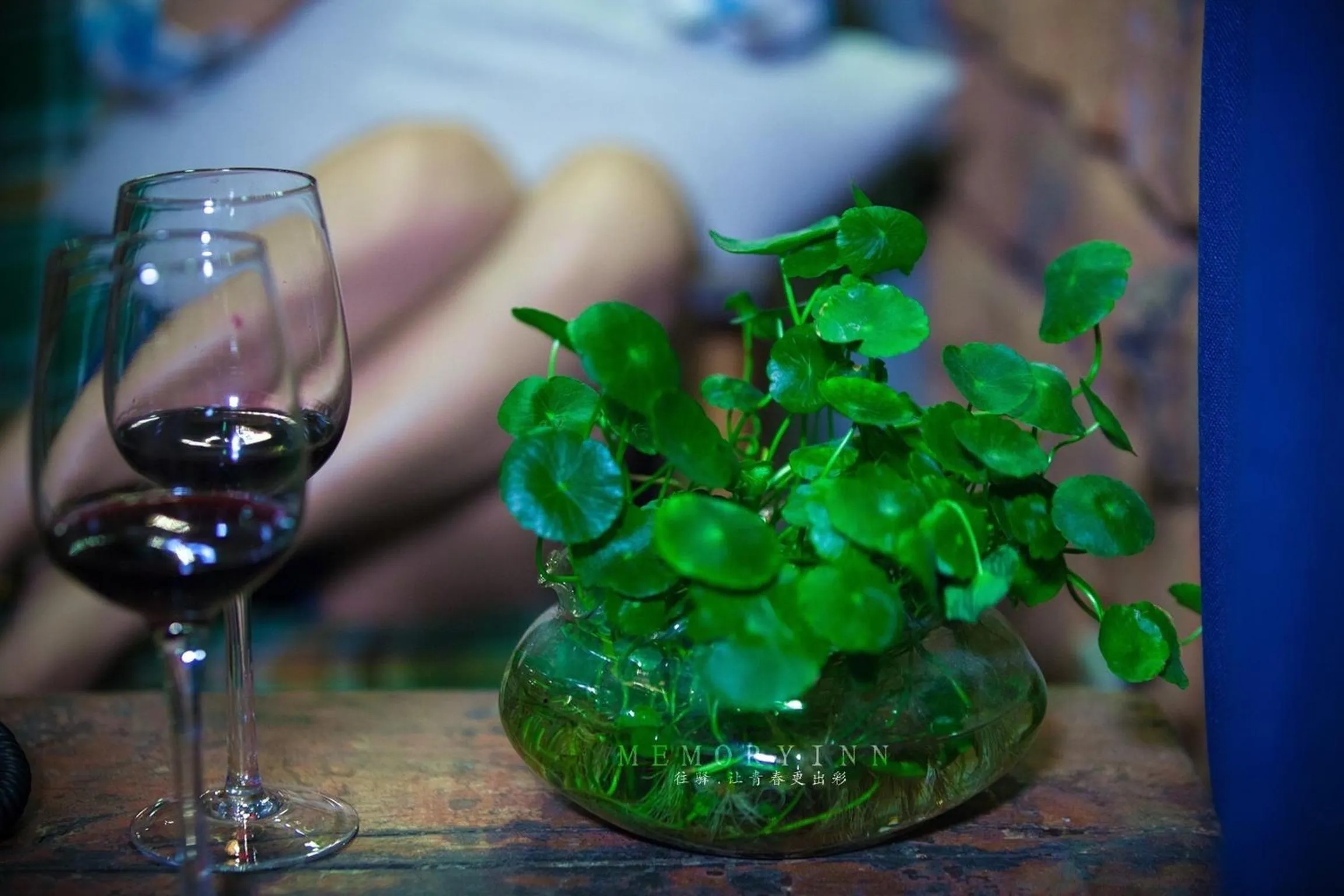 Library in Zhangjiajie Wangyi Inn