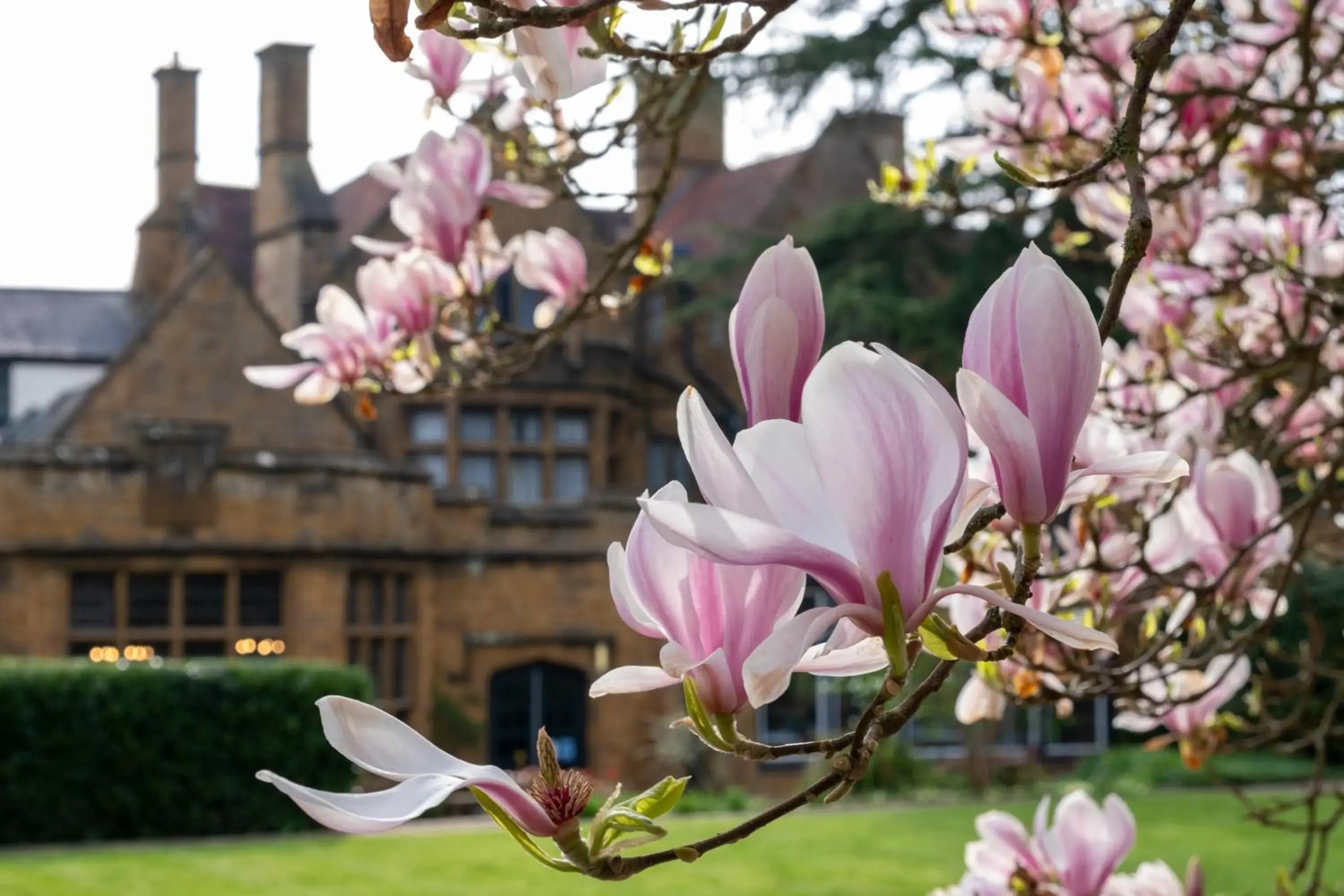 Spring in Mercure Banbury Whately Hall Hotel