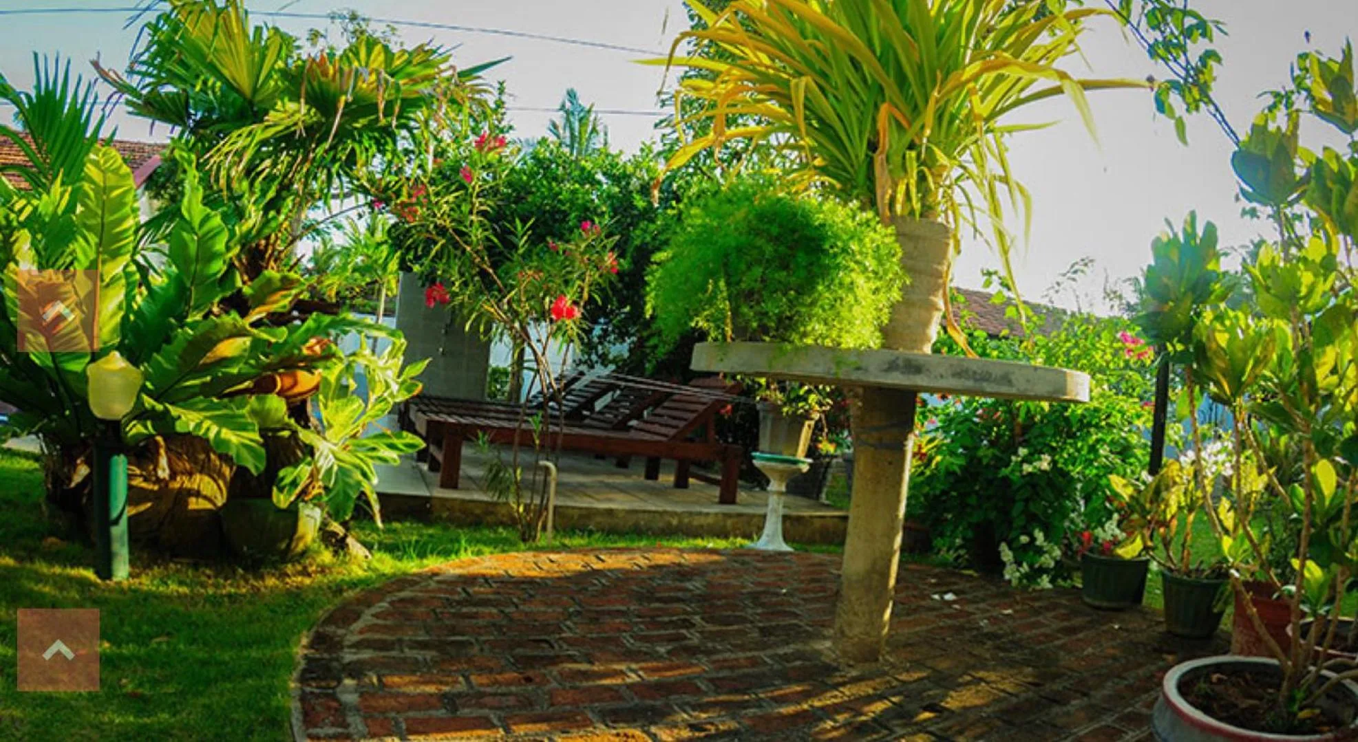 Garden in Sujeewani Villa