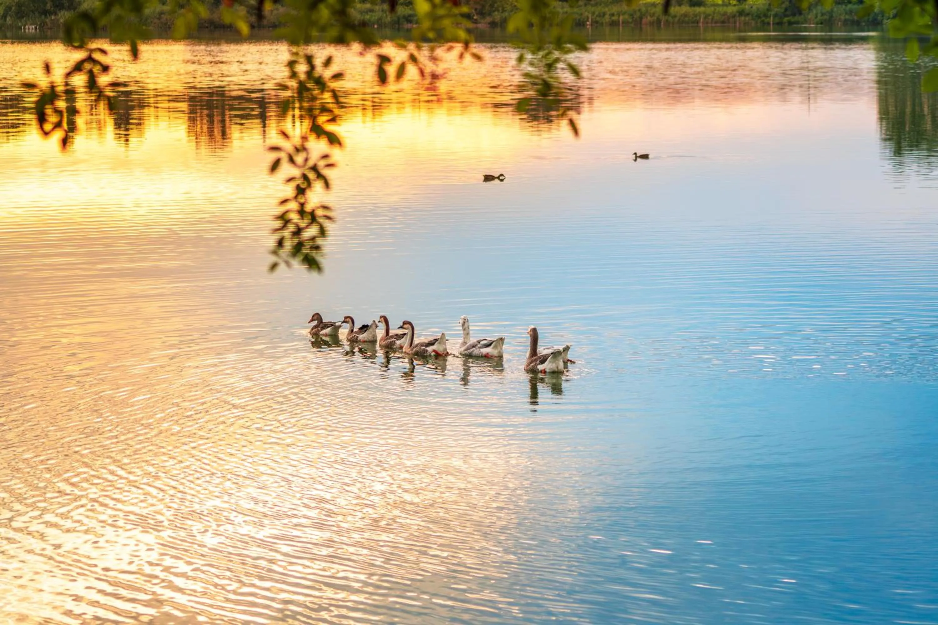 Natural landscape in Le Ali Del Frassino