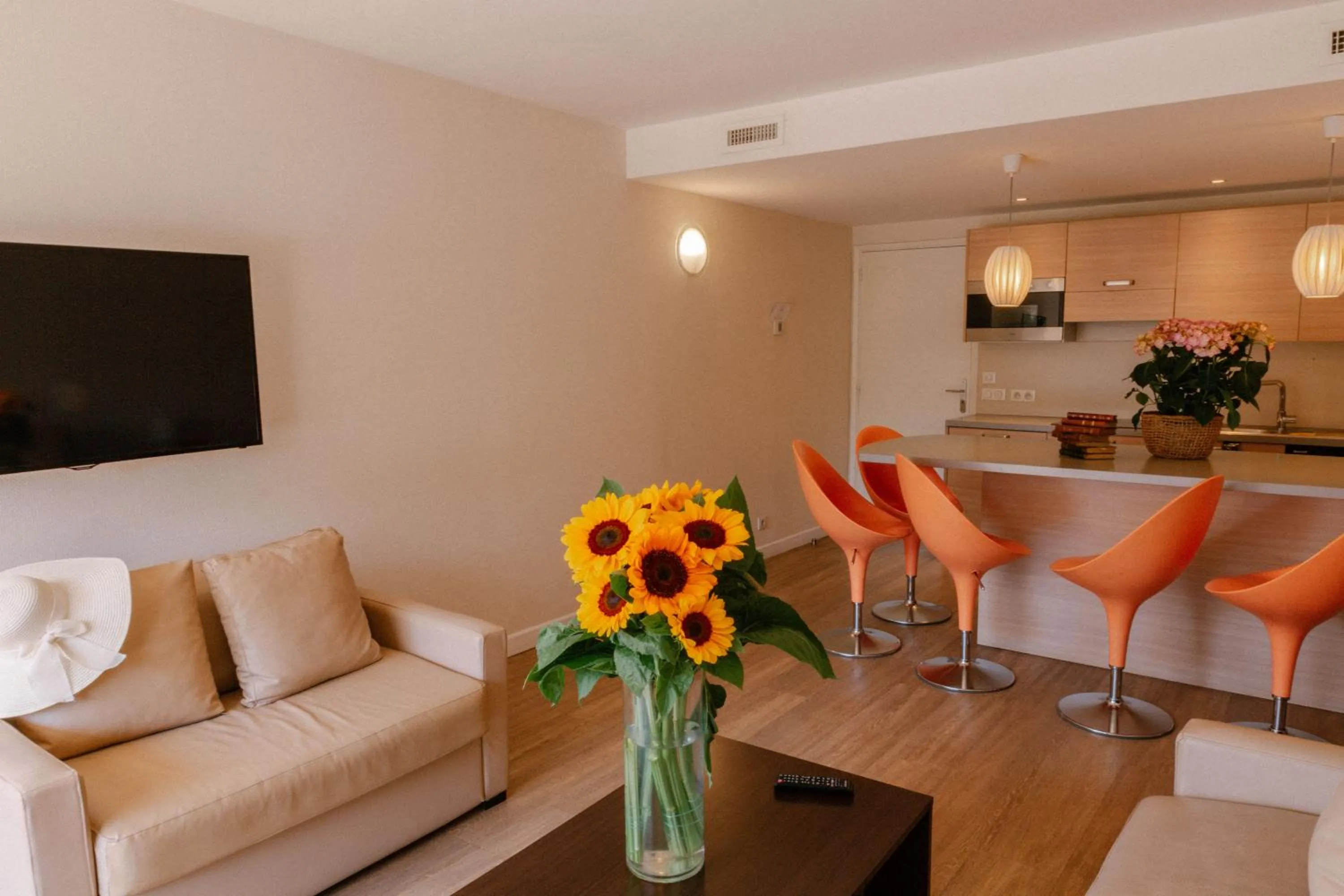 TV and multimedia in Résidence Châteauneuf