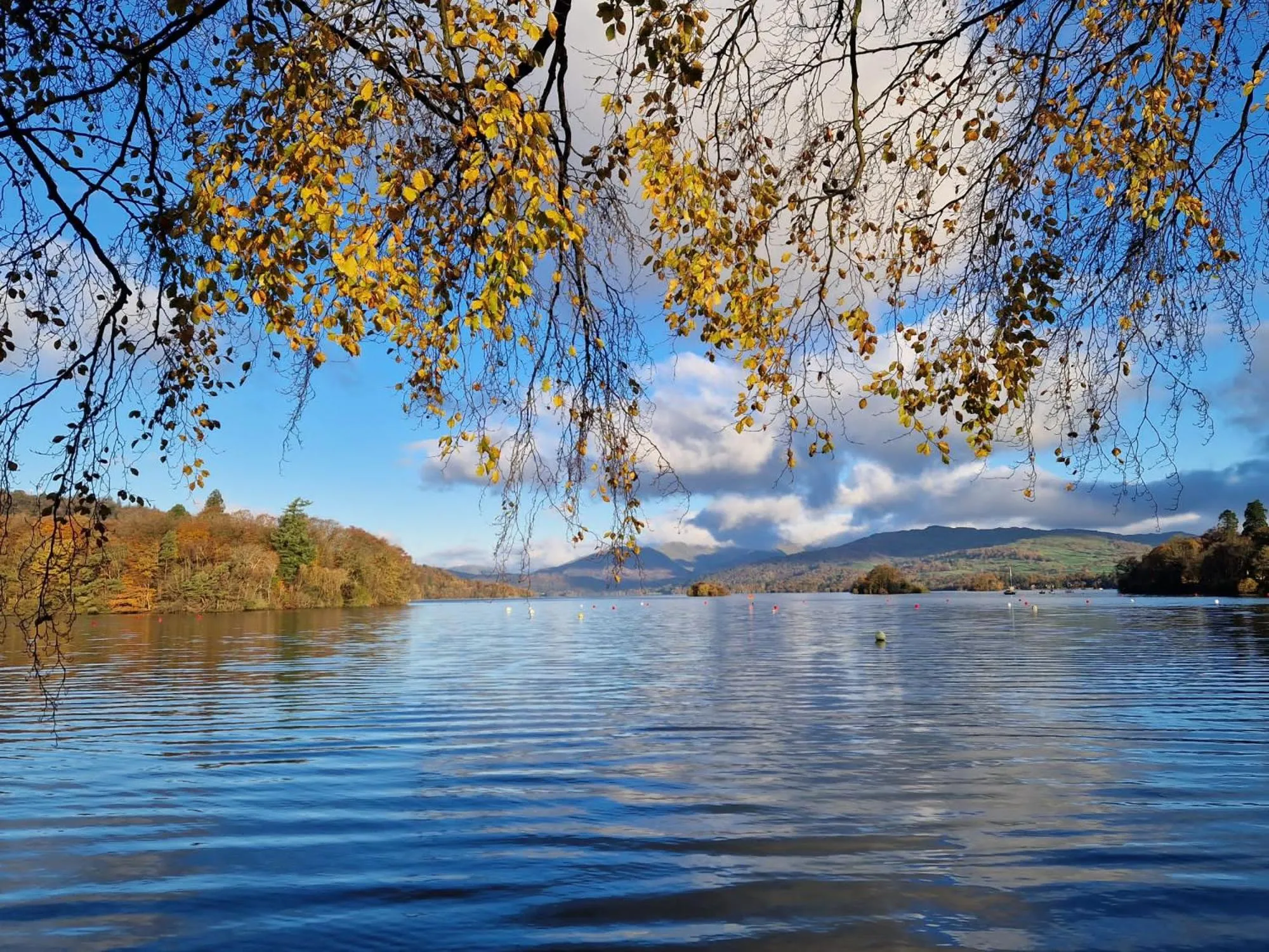 Natural landscape in Macdonald Old England Hotel & Spa