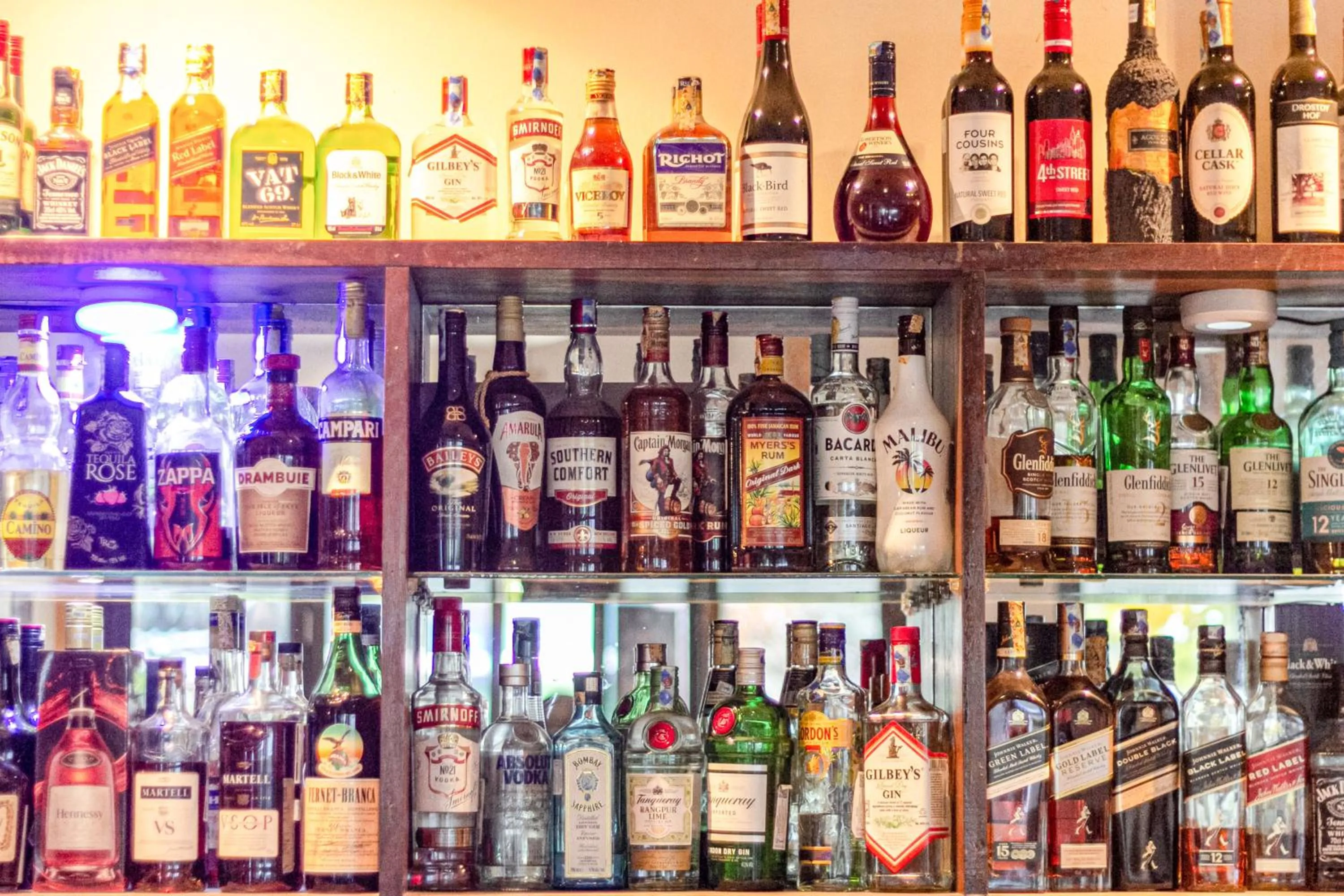 Lounge or bar in Hotel Rio