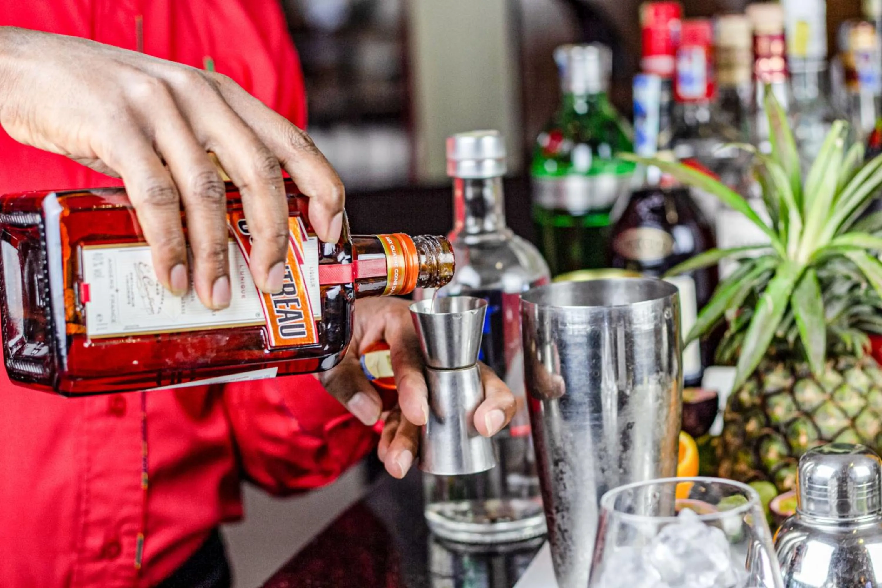 Lounge or bar in Hotel Rio