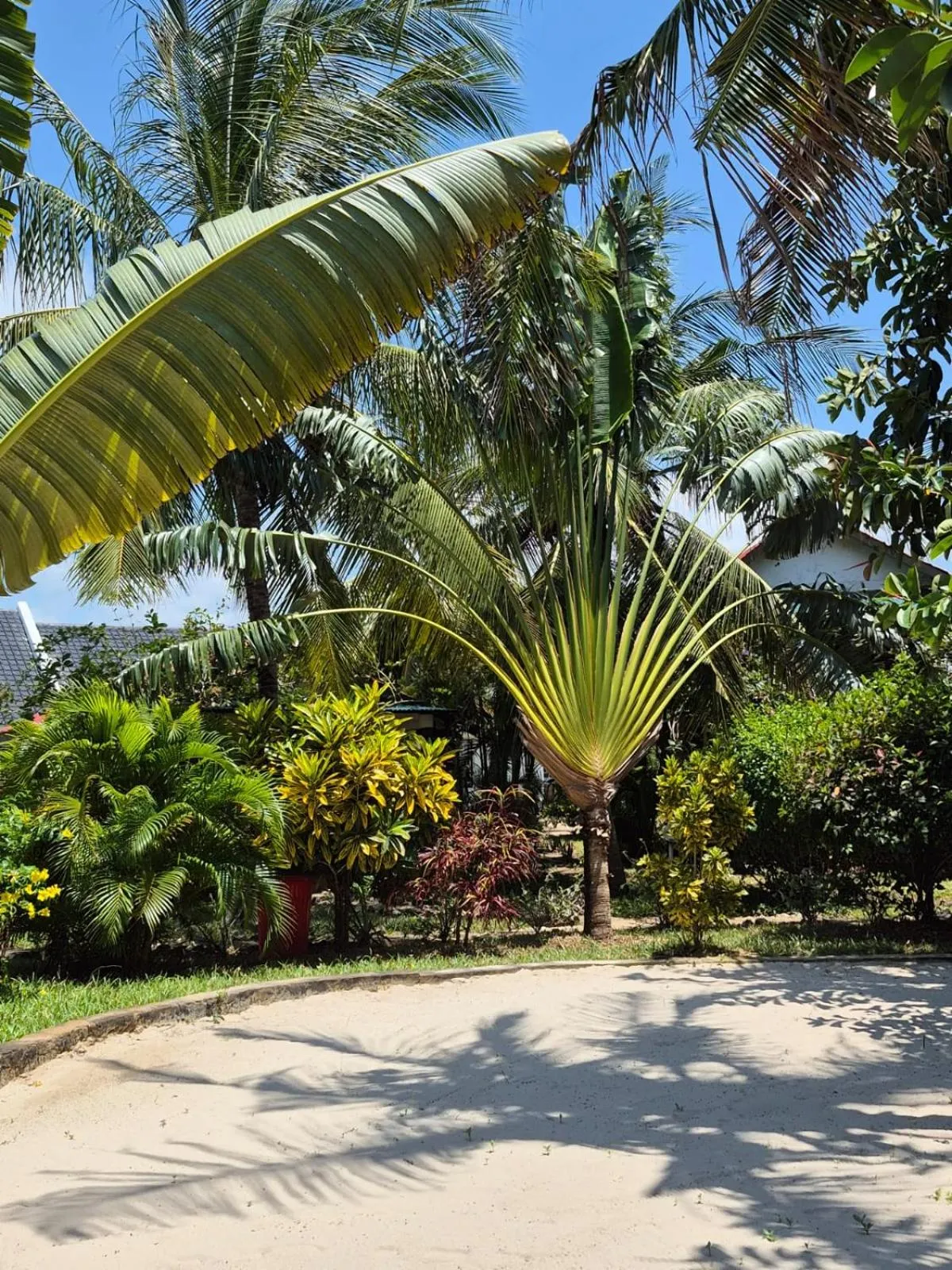 Garden in African Dream Cottages - Diani Beach