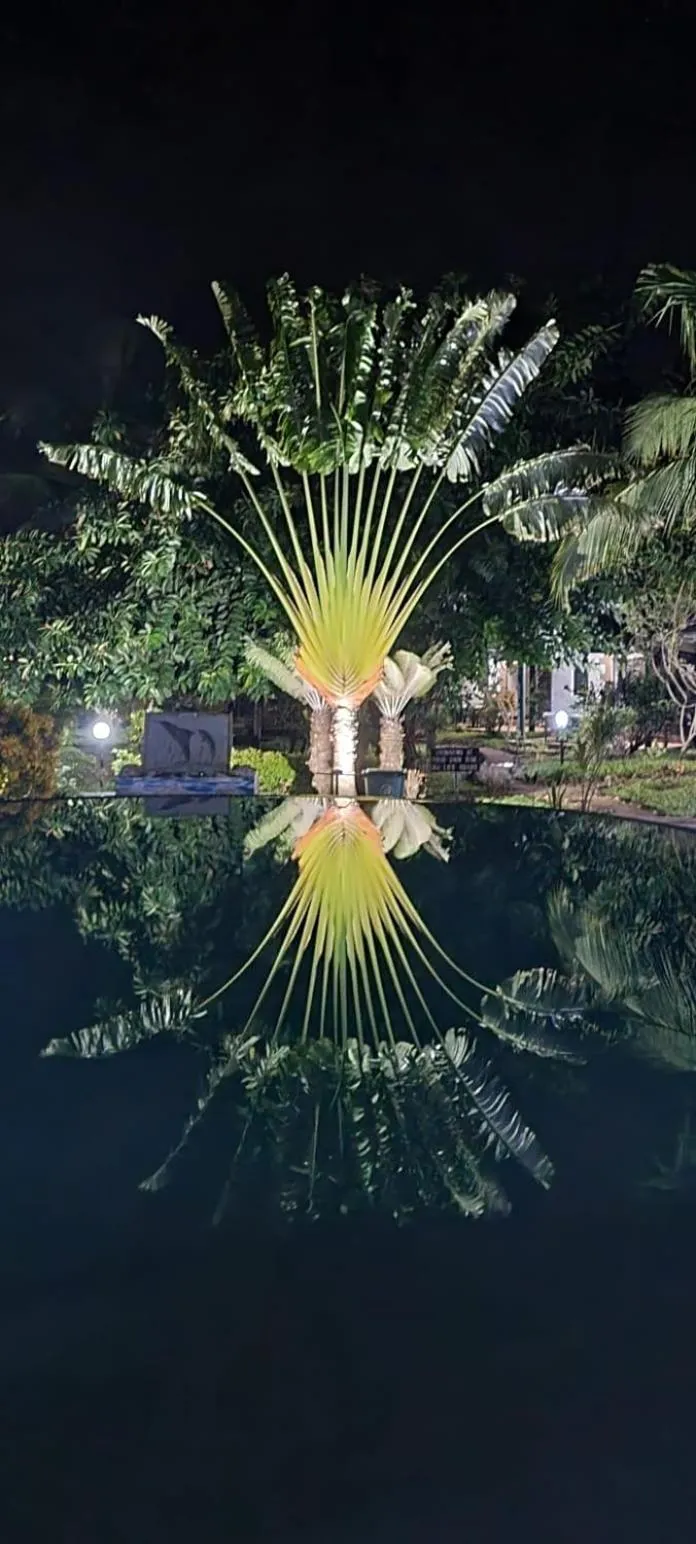 Night in African Dream Cottages - Diani Beach