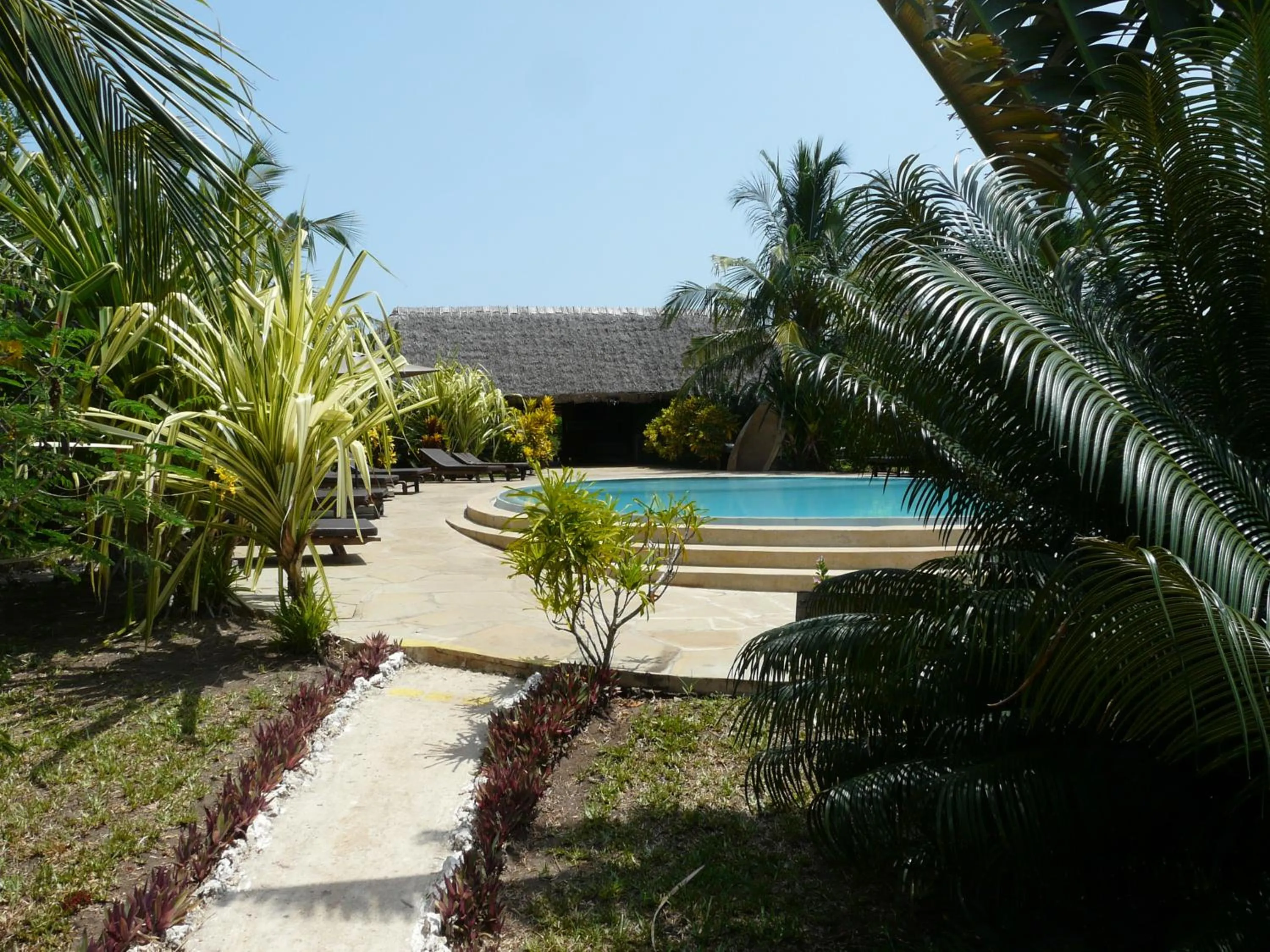 Garden in African Dream Cottages - Diani Beach