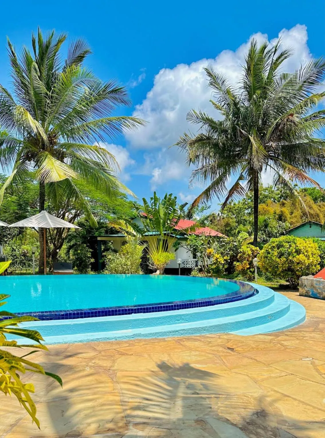 Natural landscape in African Dream Cottages - Diani Beach