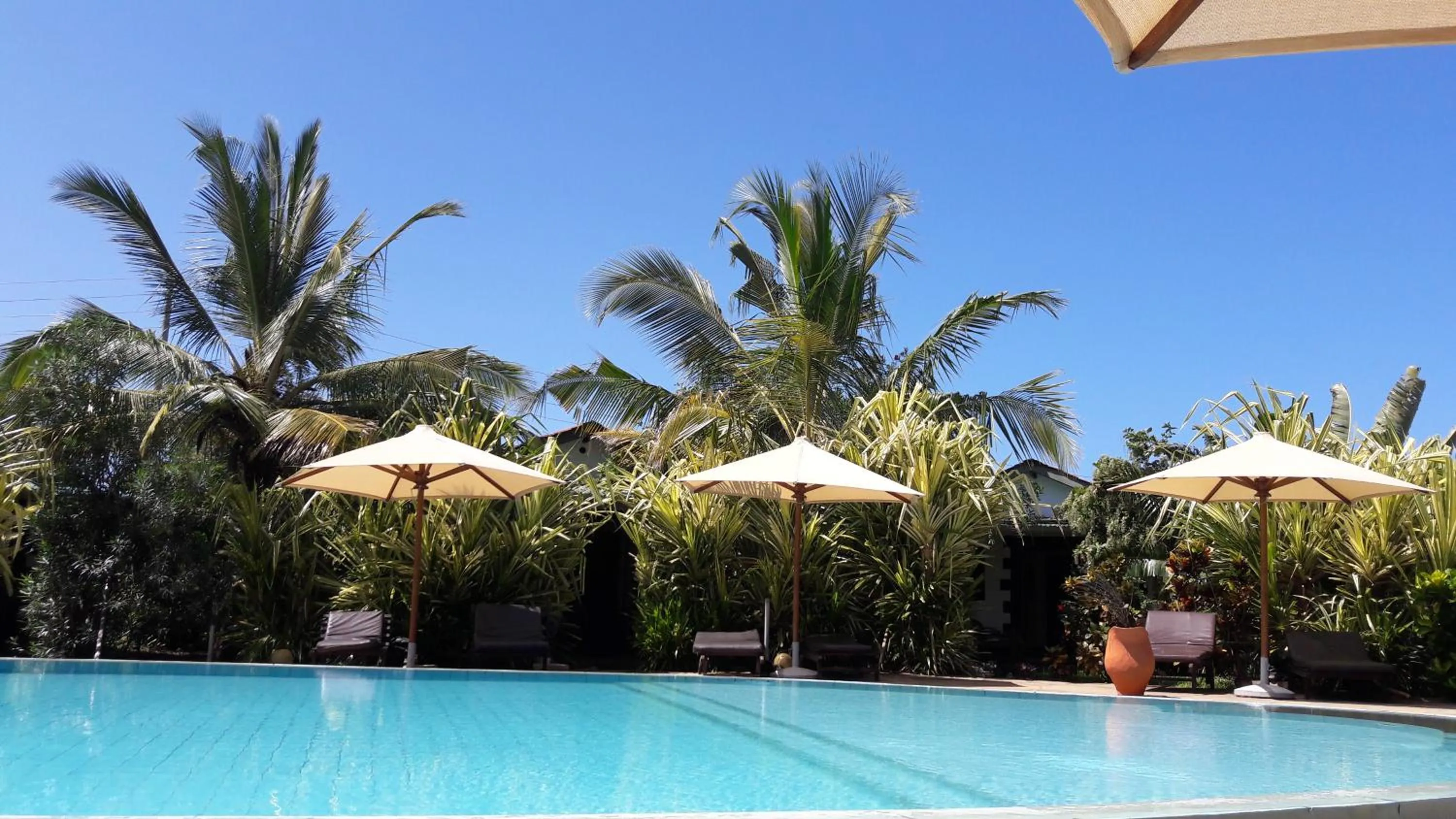 Pool view in African Dream Cottages - Diani Beach