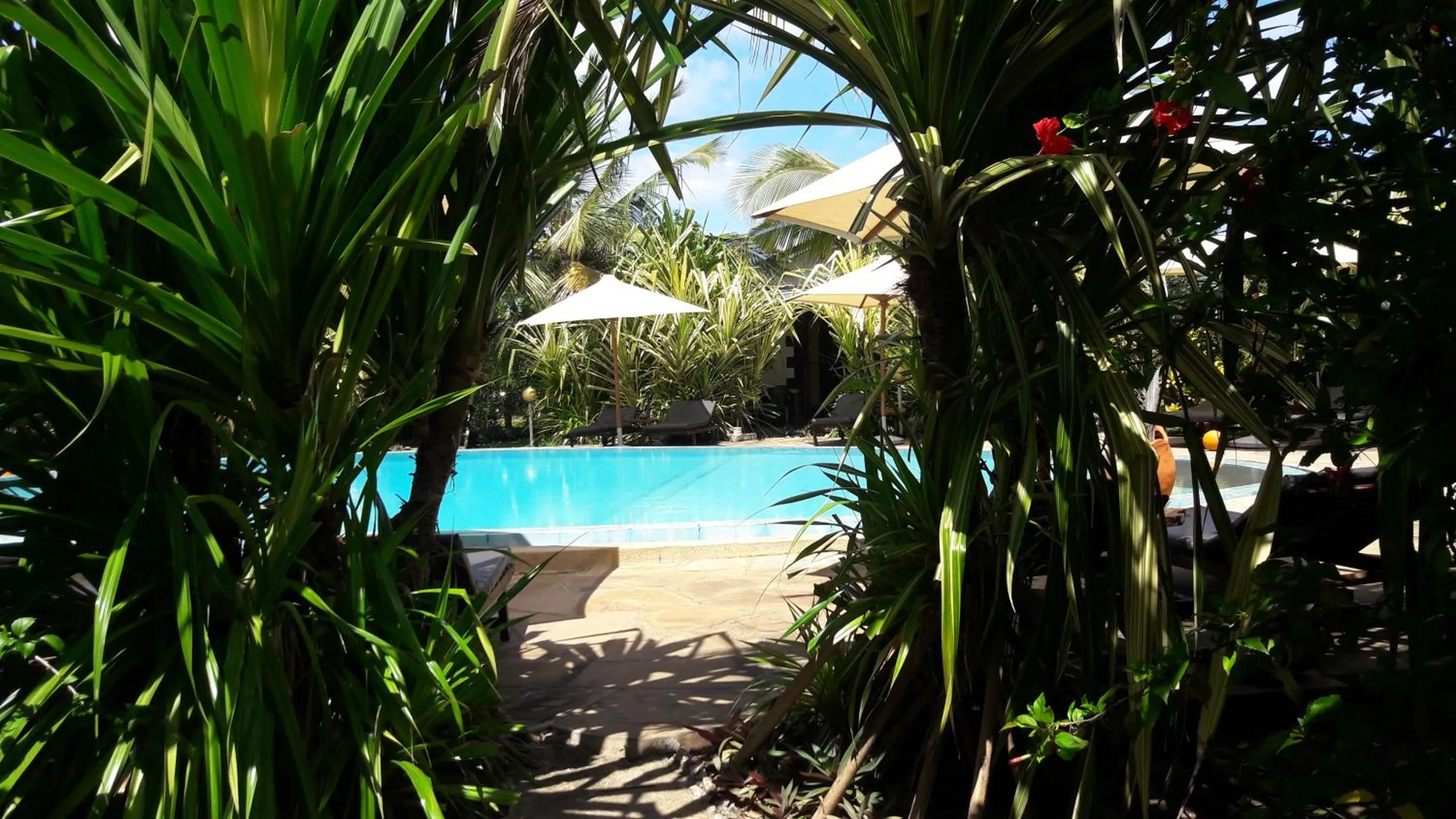 Garden in African Dream Cottages - Diani Beach