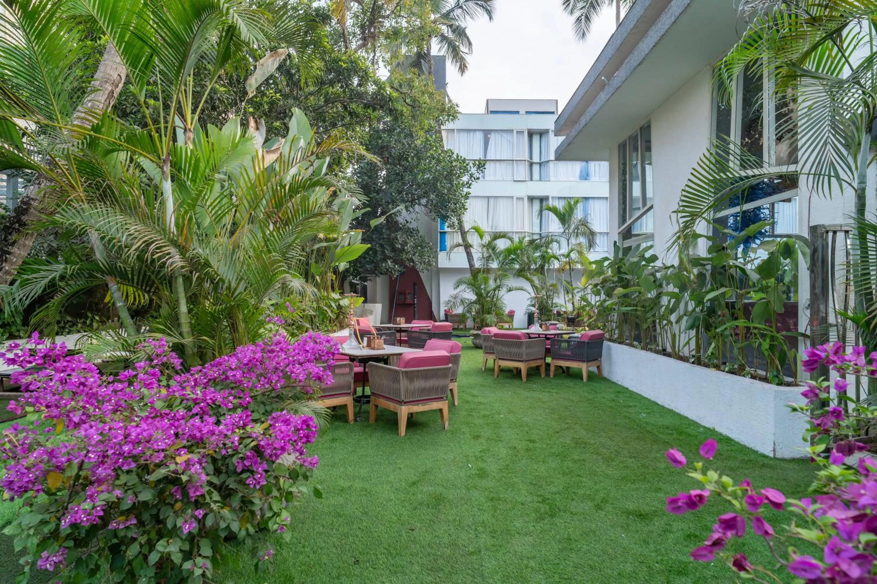 Garden in Sandoz Vagator Goa