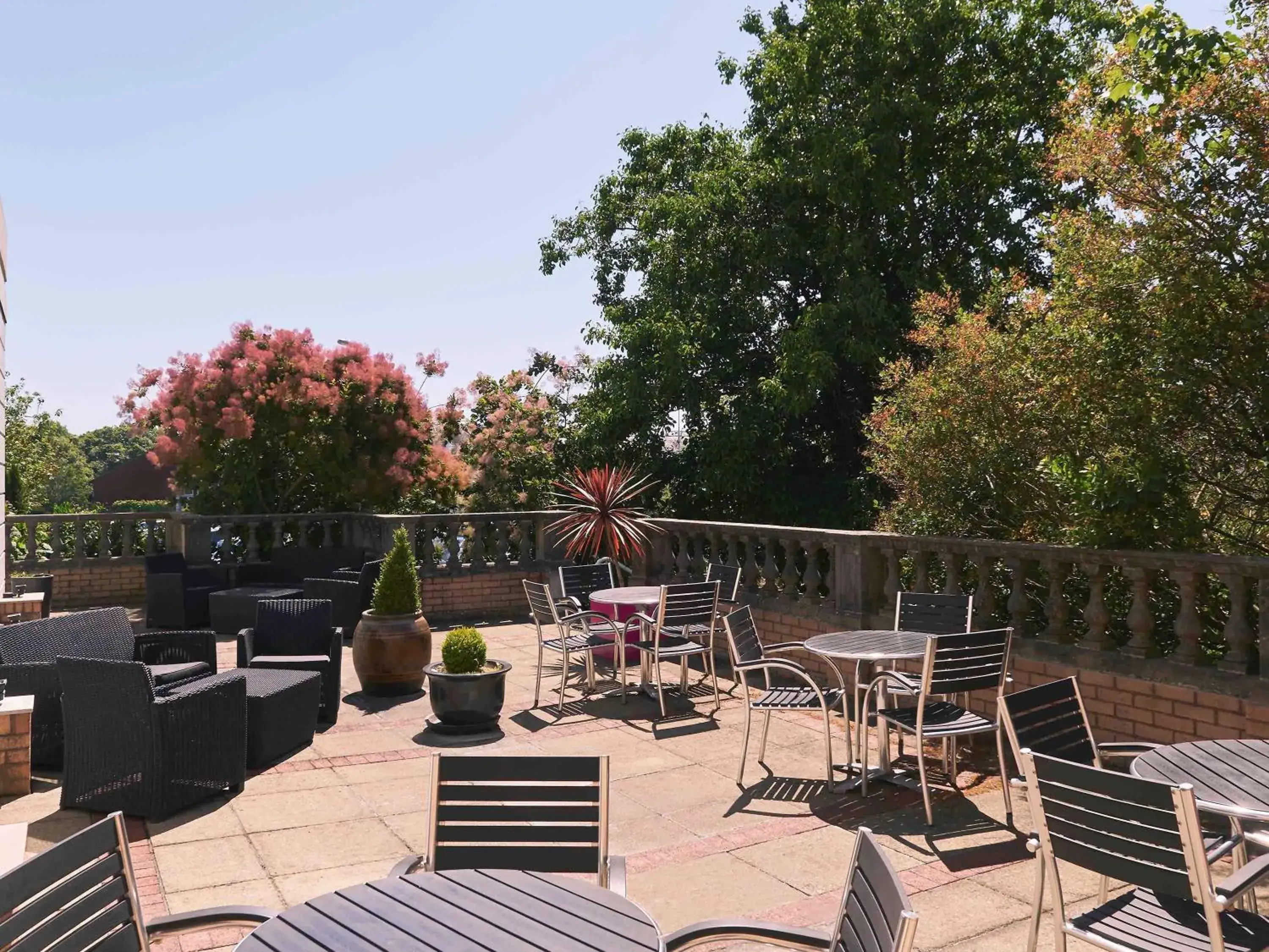 Restaurant/places to eat in Mercure Exeter Southgate Hotel Restaurant/places to eat in Mercure Exeter Southgate Hotel