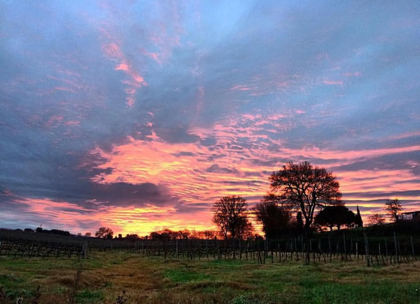 Natural landscape in Agriturismo Diaccialone