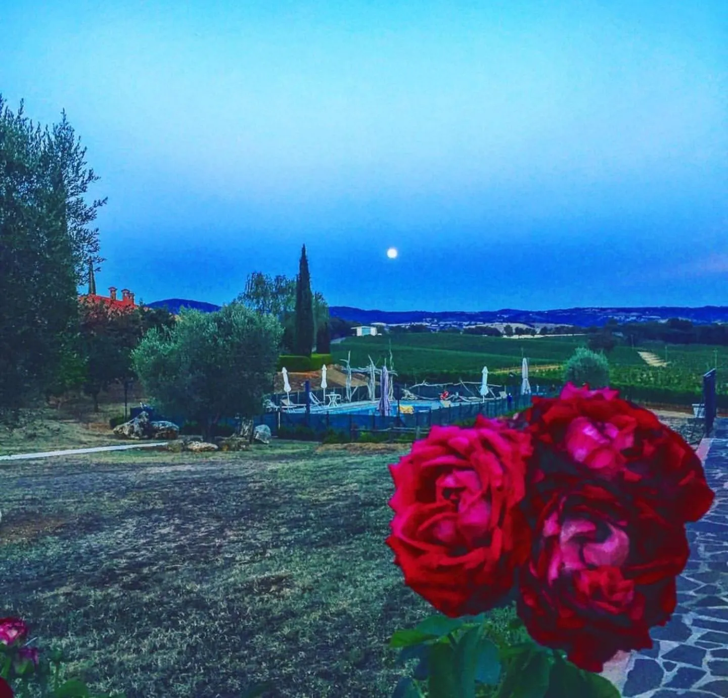 Garden in Agriturismo Diaccialone