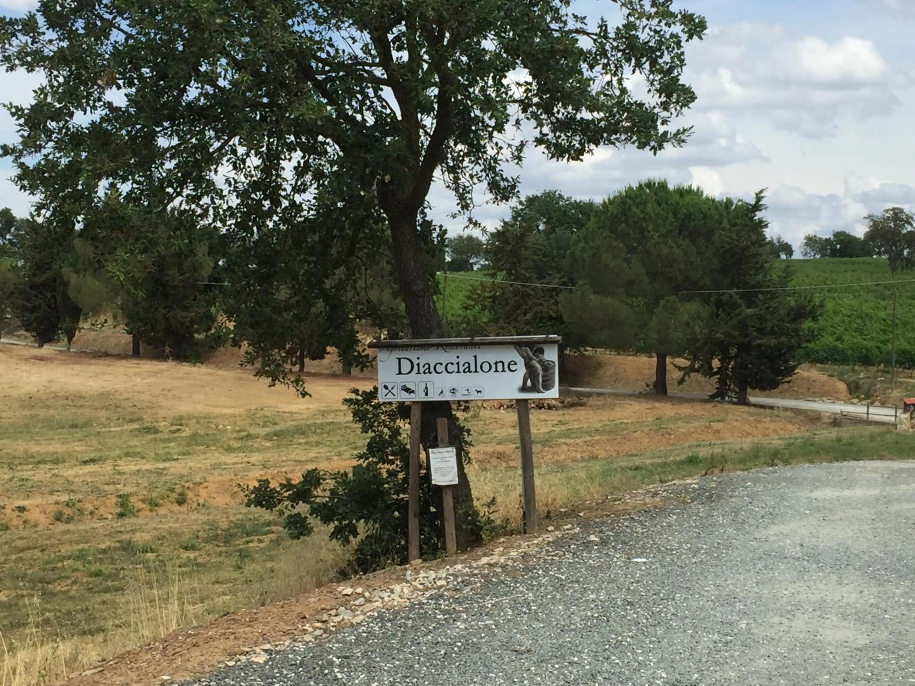 Property logo or sign in Agriturismo Diaccialone