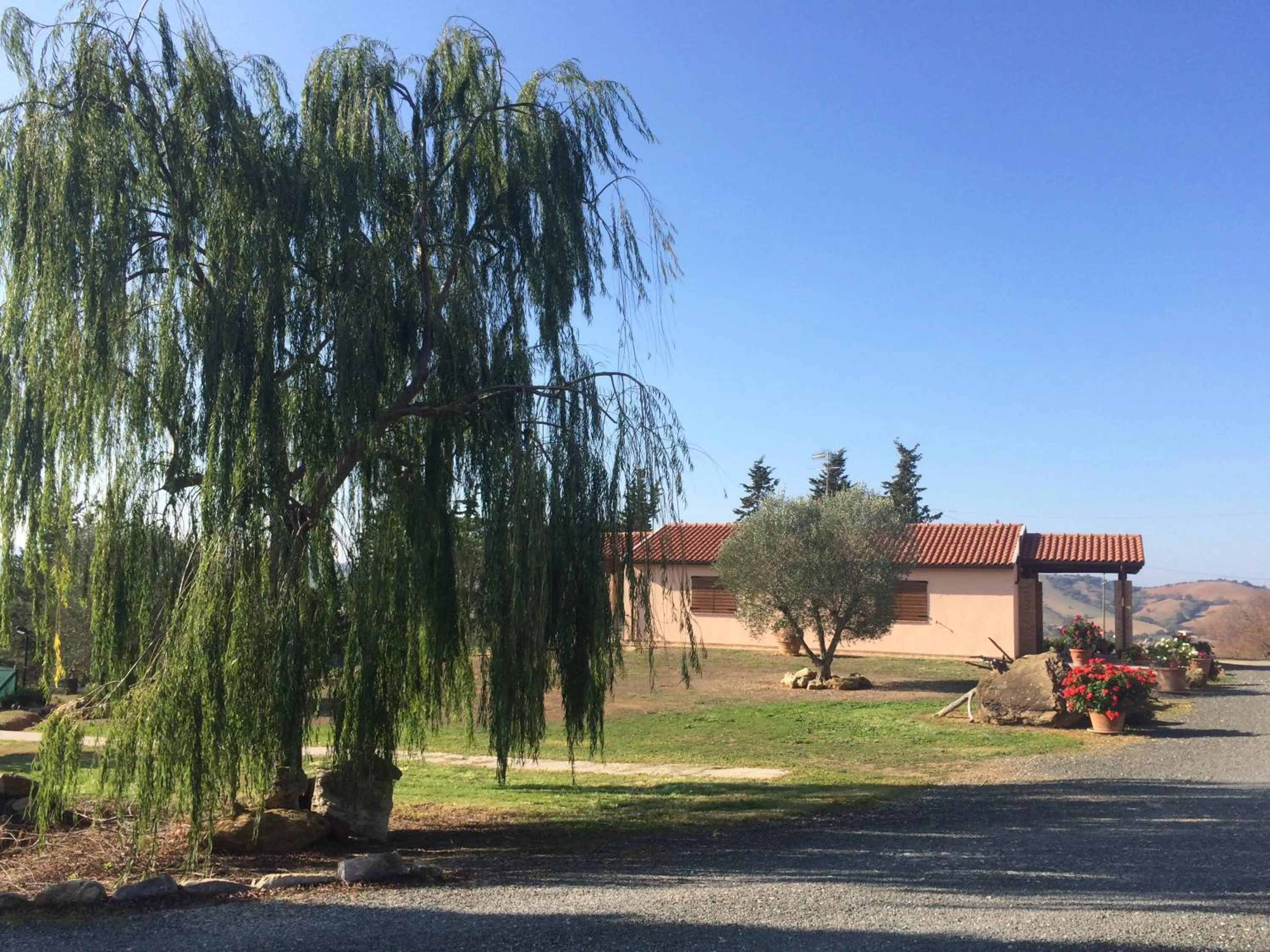 Garden view in Agriturismo Diaccialone