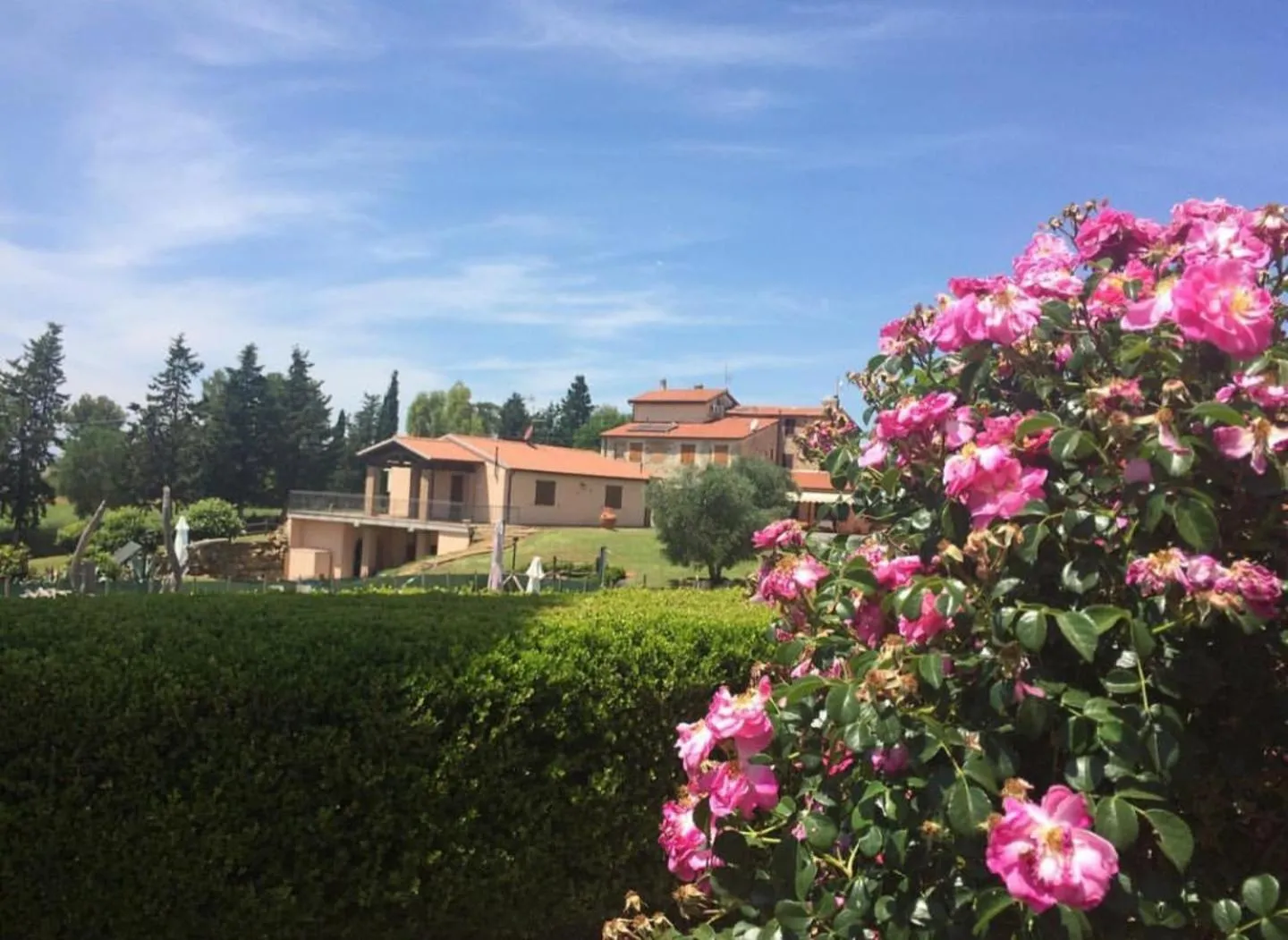 Garden in Agriturismo Diaccialone