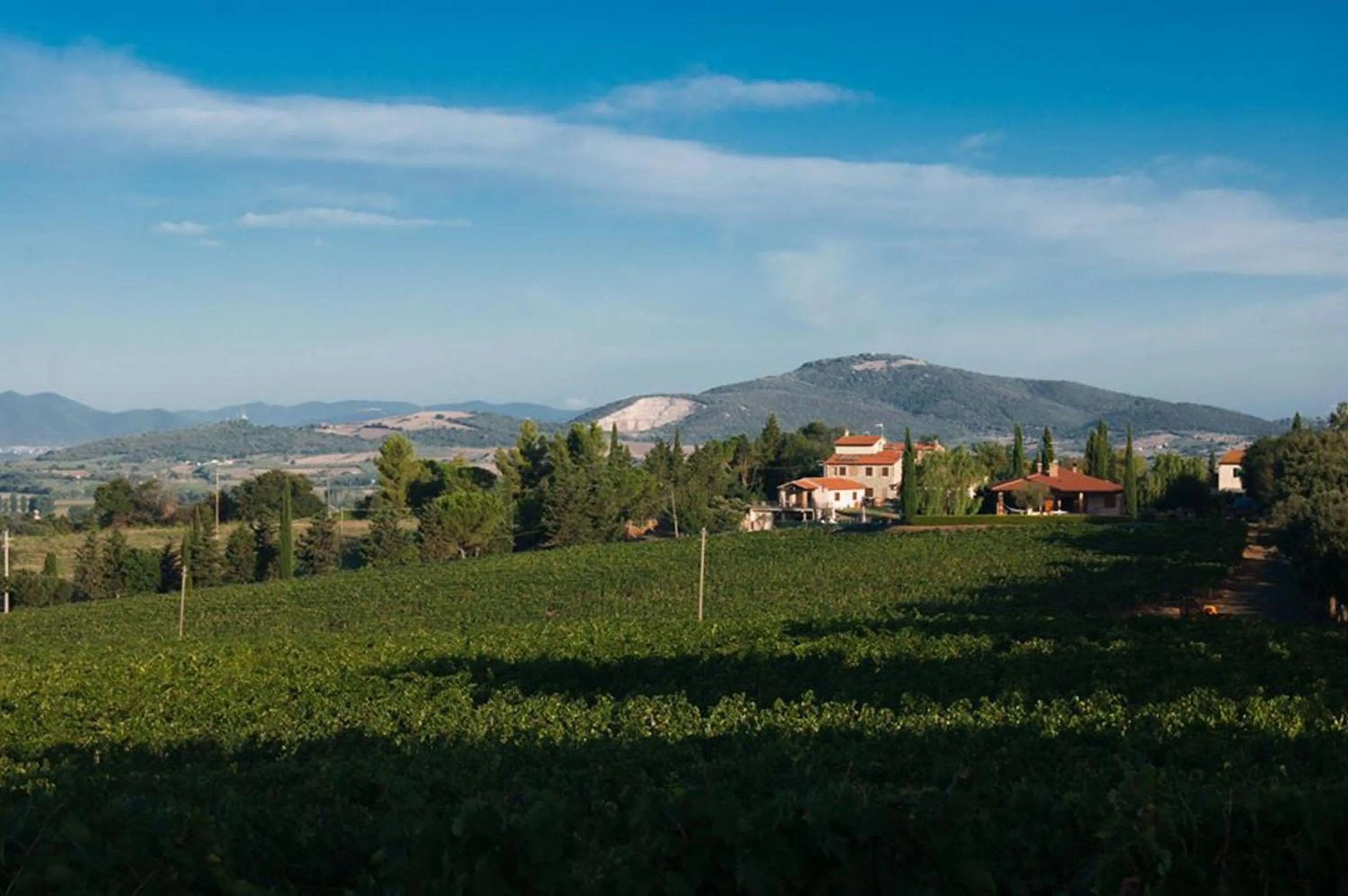 Natural landscape in Agriturismo Diaccialone