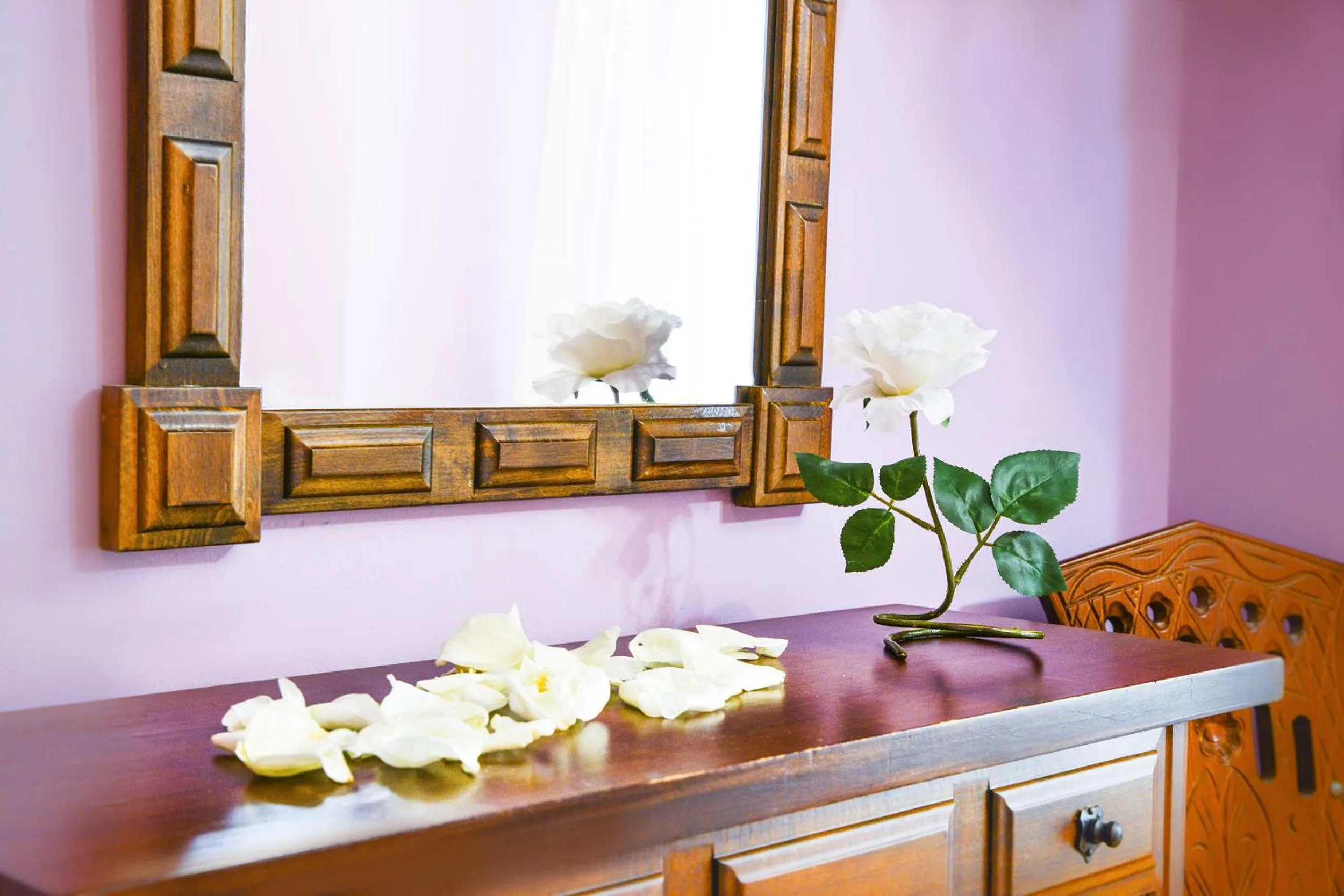 Café Bar Hotel Jefi