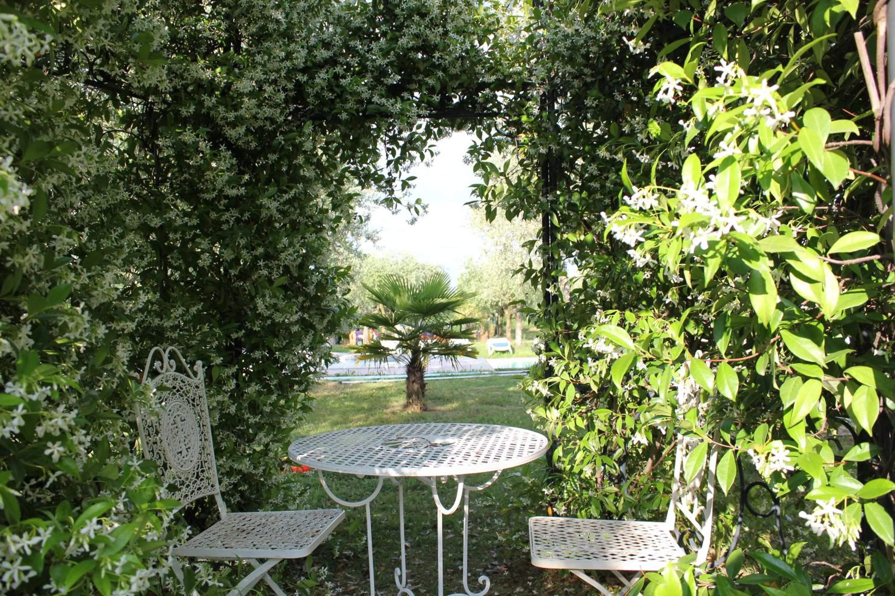 Day in Residence Ulivi