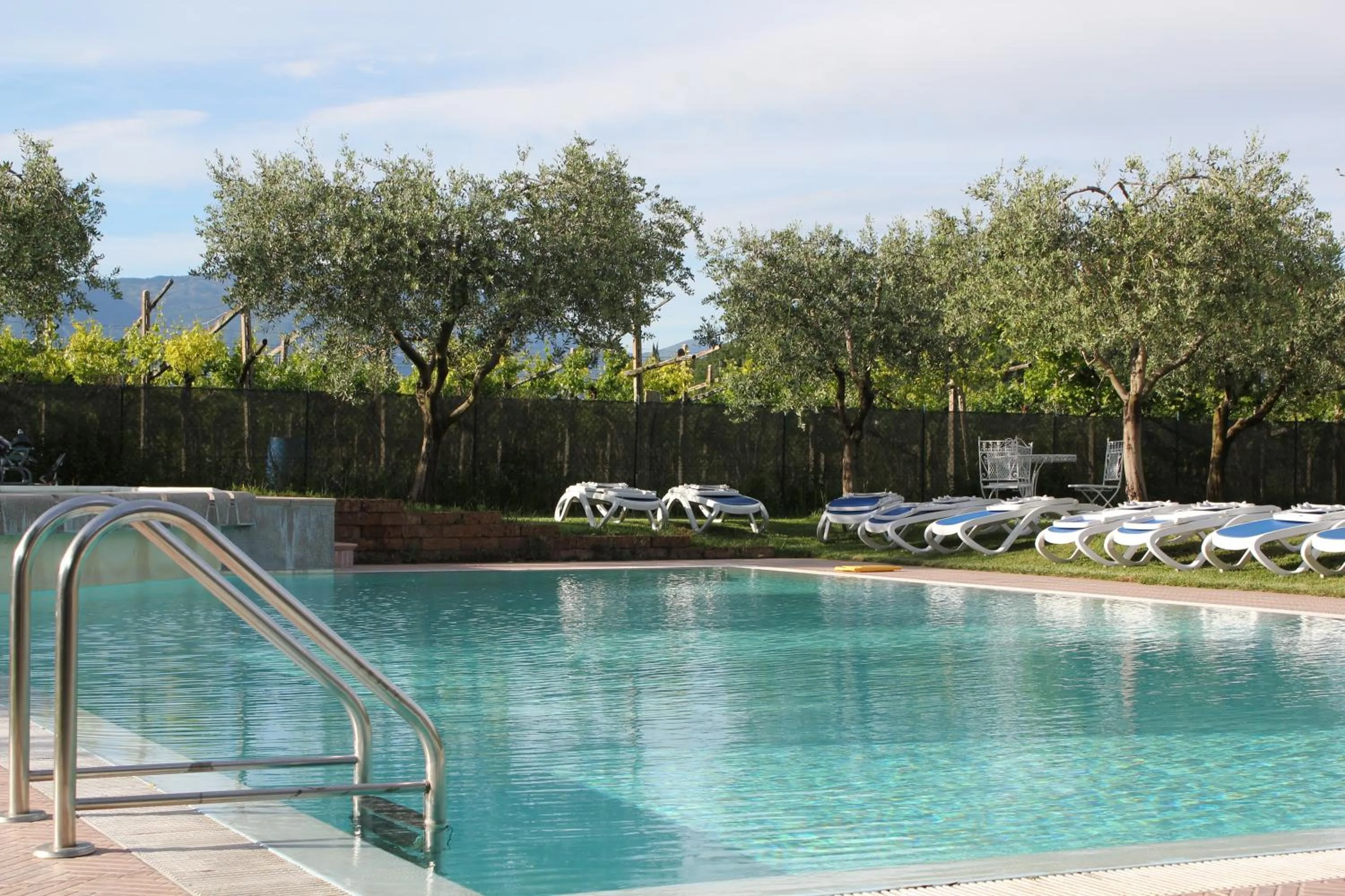 Swimming pool in Residence Ulivi