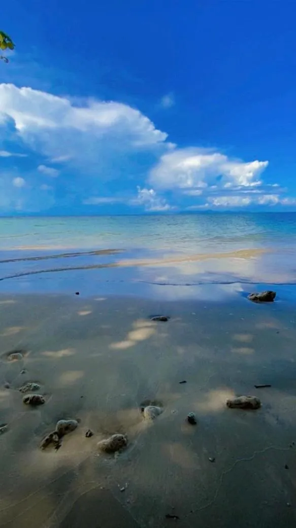 View (from property/room) in Koh Phu Valley