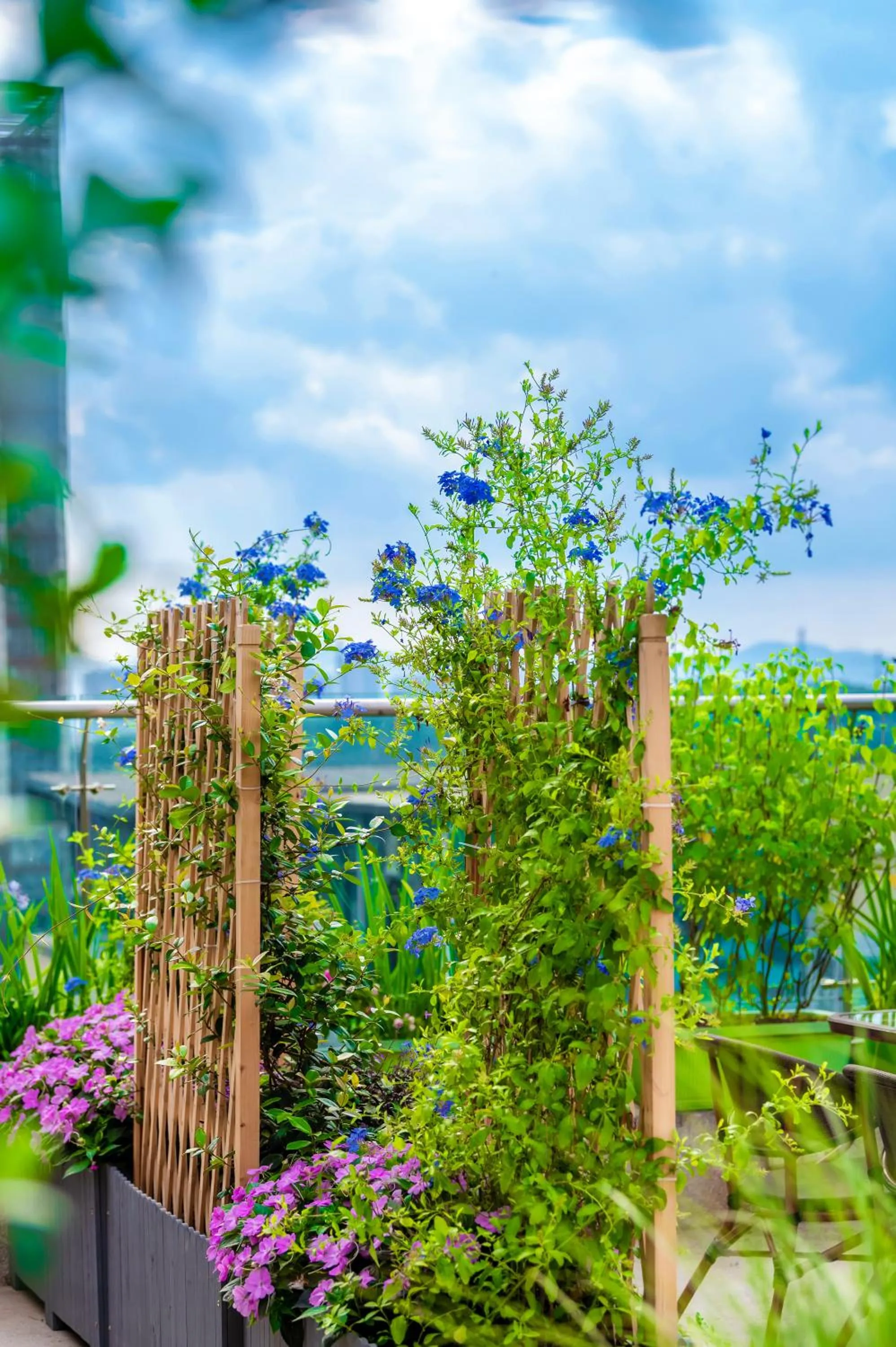 Restaurant/places to eat in Wuyu Hotel - Chongqing Jiangbei Airport & Light Rail