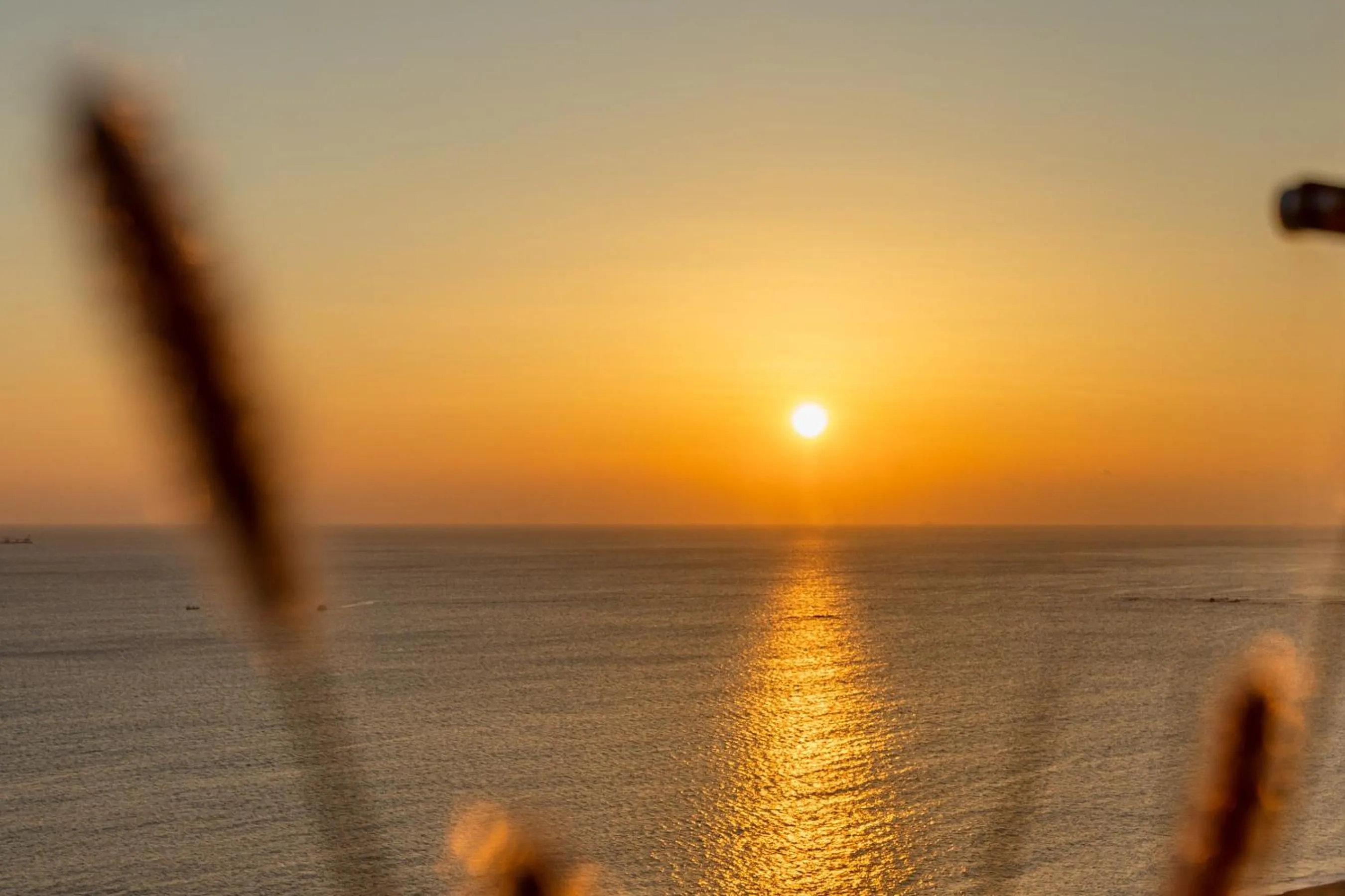 View (from property/room) in Hound Hotel Ulsan