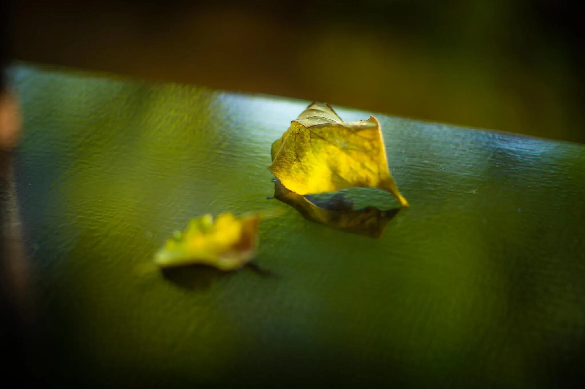 Decorative detail in Ryoutei Ryokan Yasui
