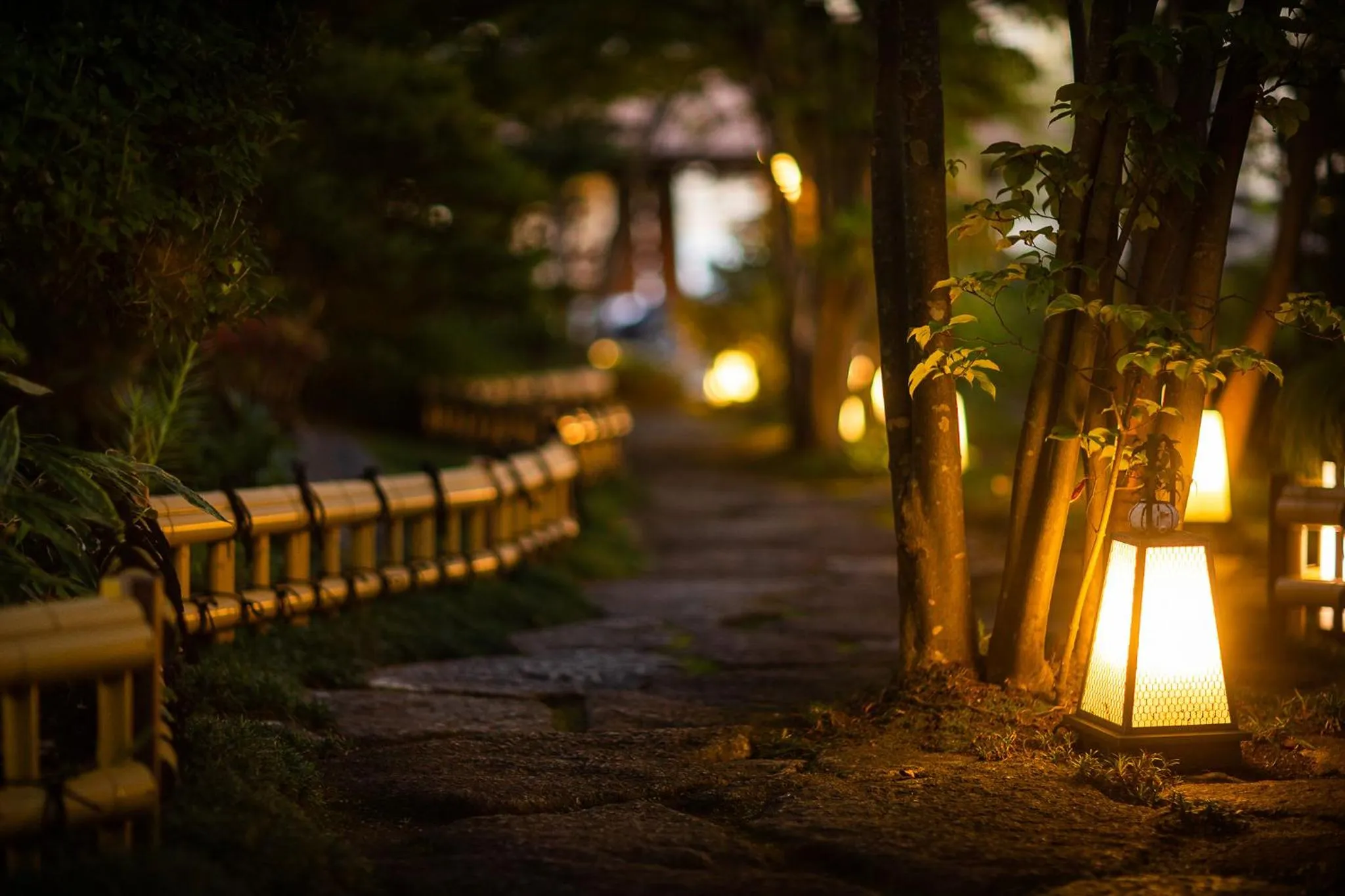 Night in Ryoutei Ryokan Yasui
