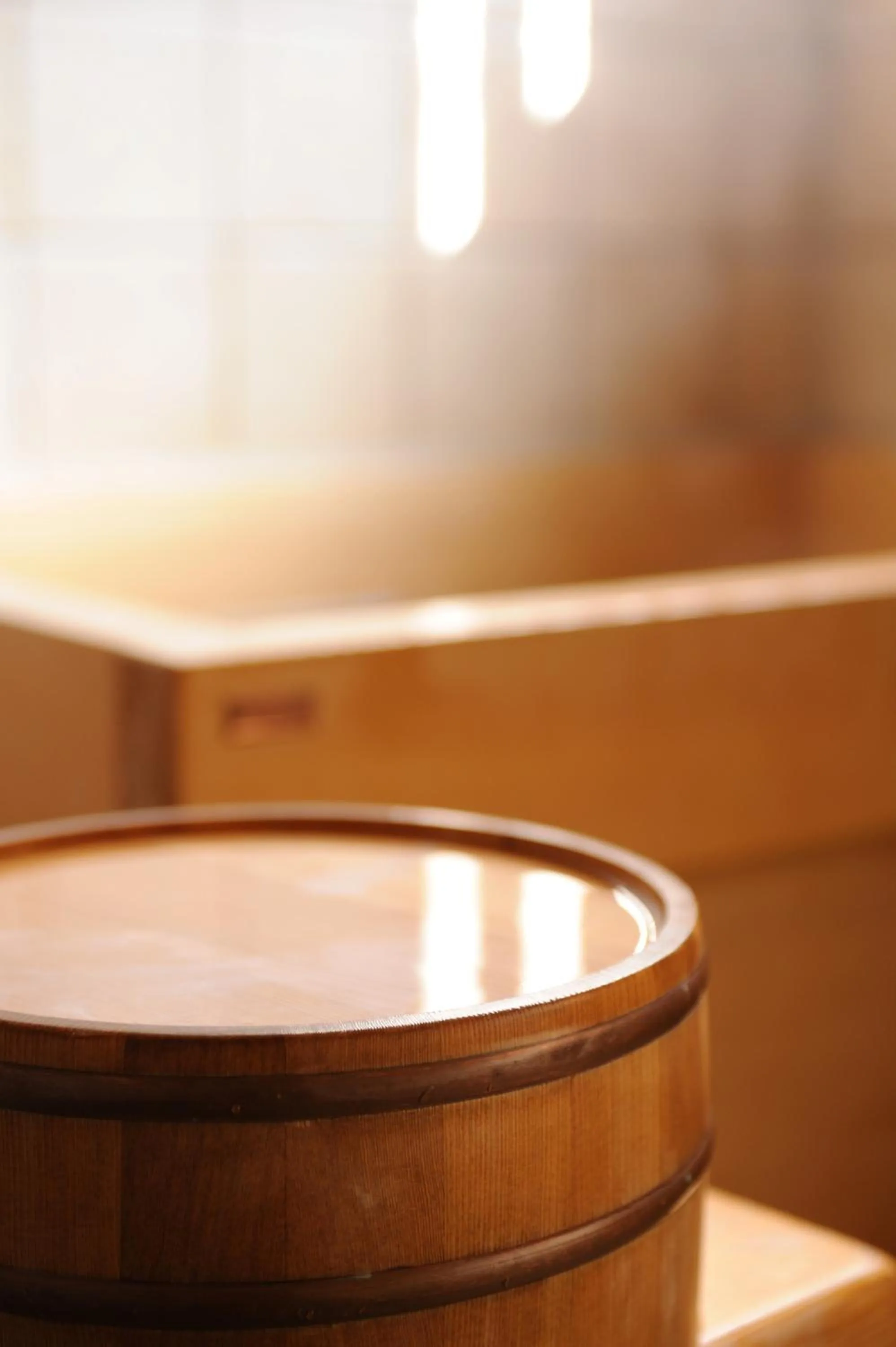 Other in Ryoutei Ryokan Yasui