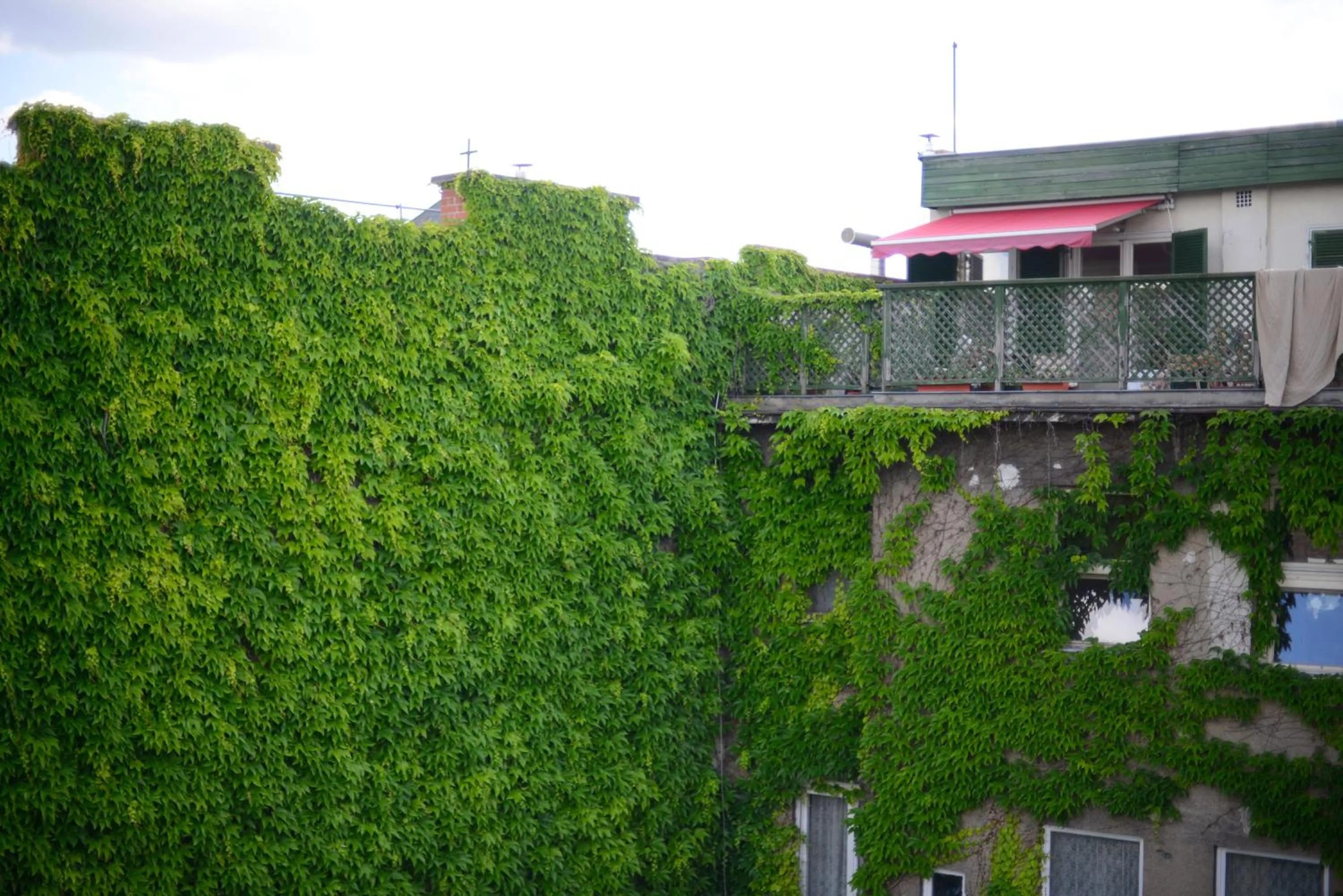 Garden view in Walk Inn Váci 42