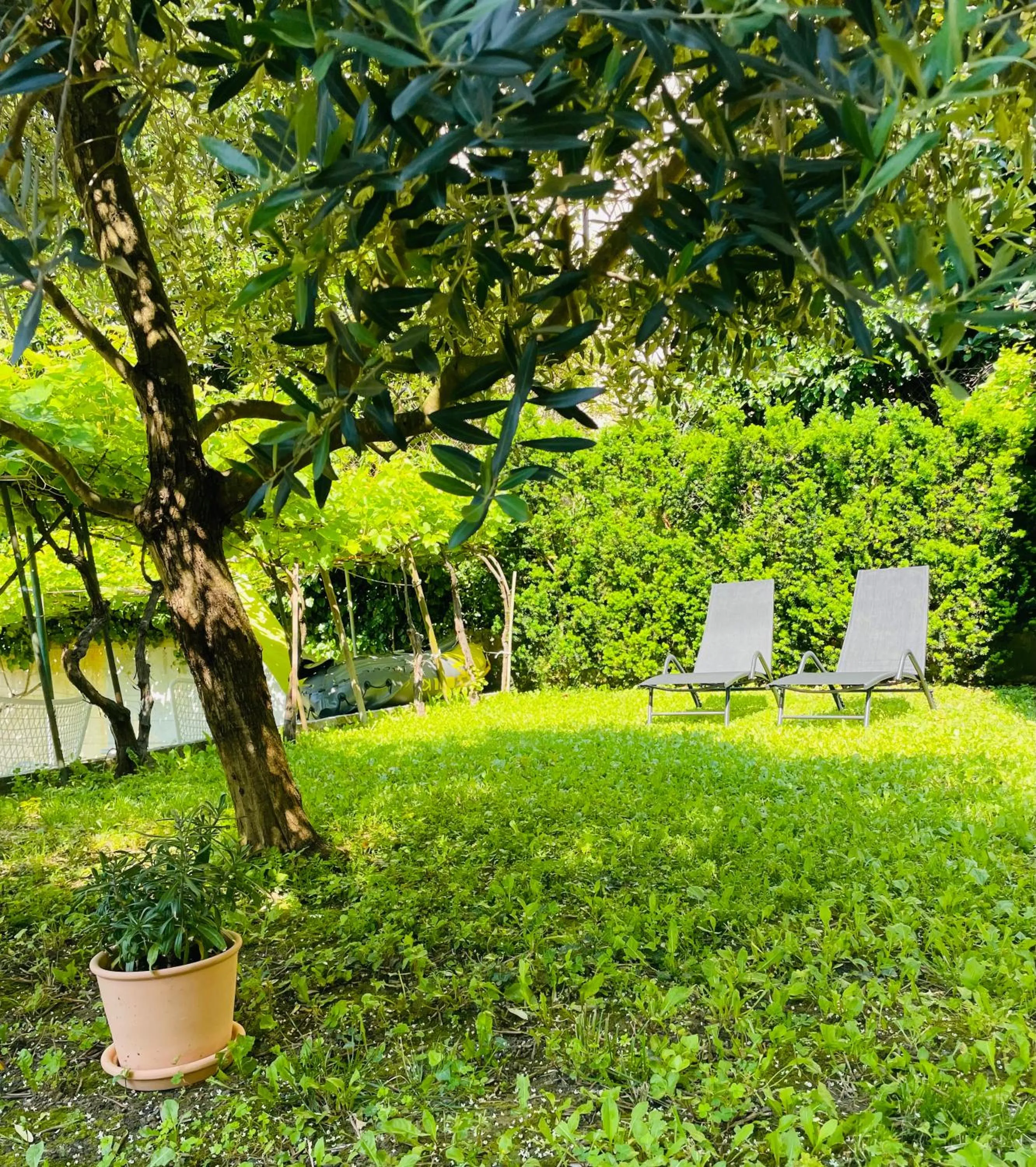 Spring in Villa Verde Piran, Authentic Mediterranean Stay
