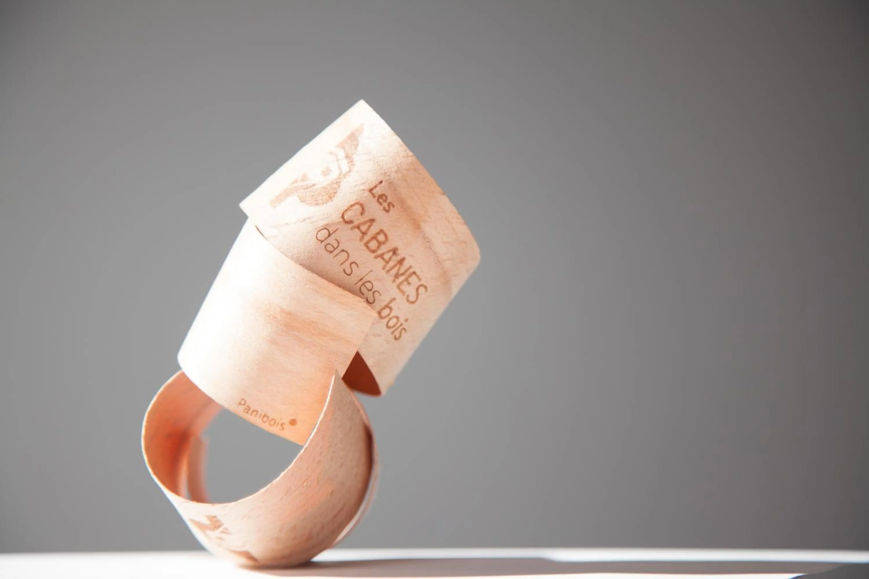 Property logo or sign in Les Cabanes Dans Les Bois Logis Hôtel