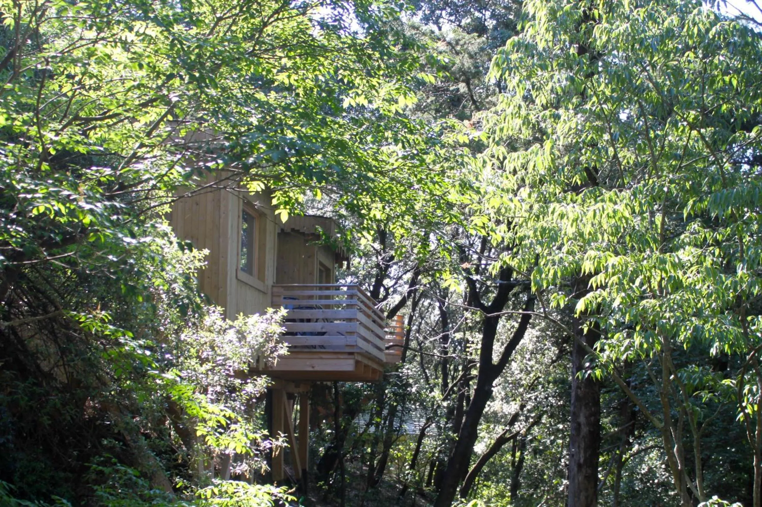 Mountain view in Les Cabanes Dans Les Bois Logis Hôtel