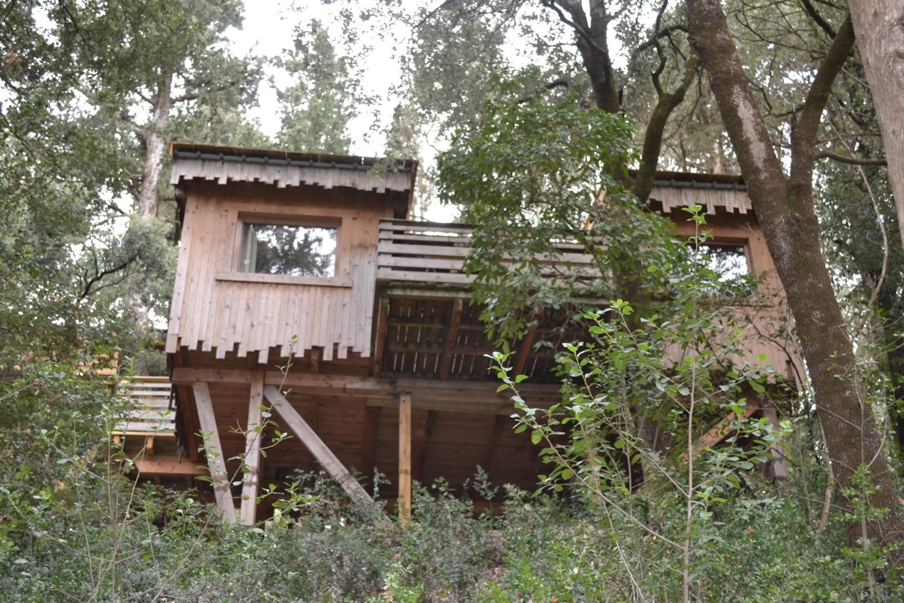 View (from property/room) in Les Cabanes Dans Les Bois Logis Hôtel
