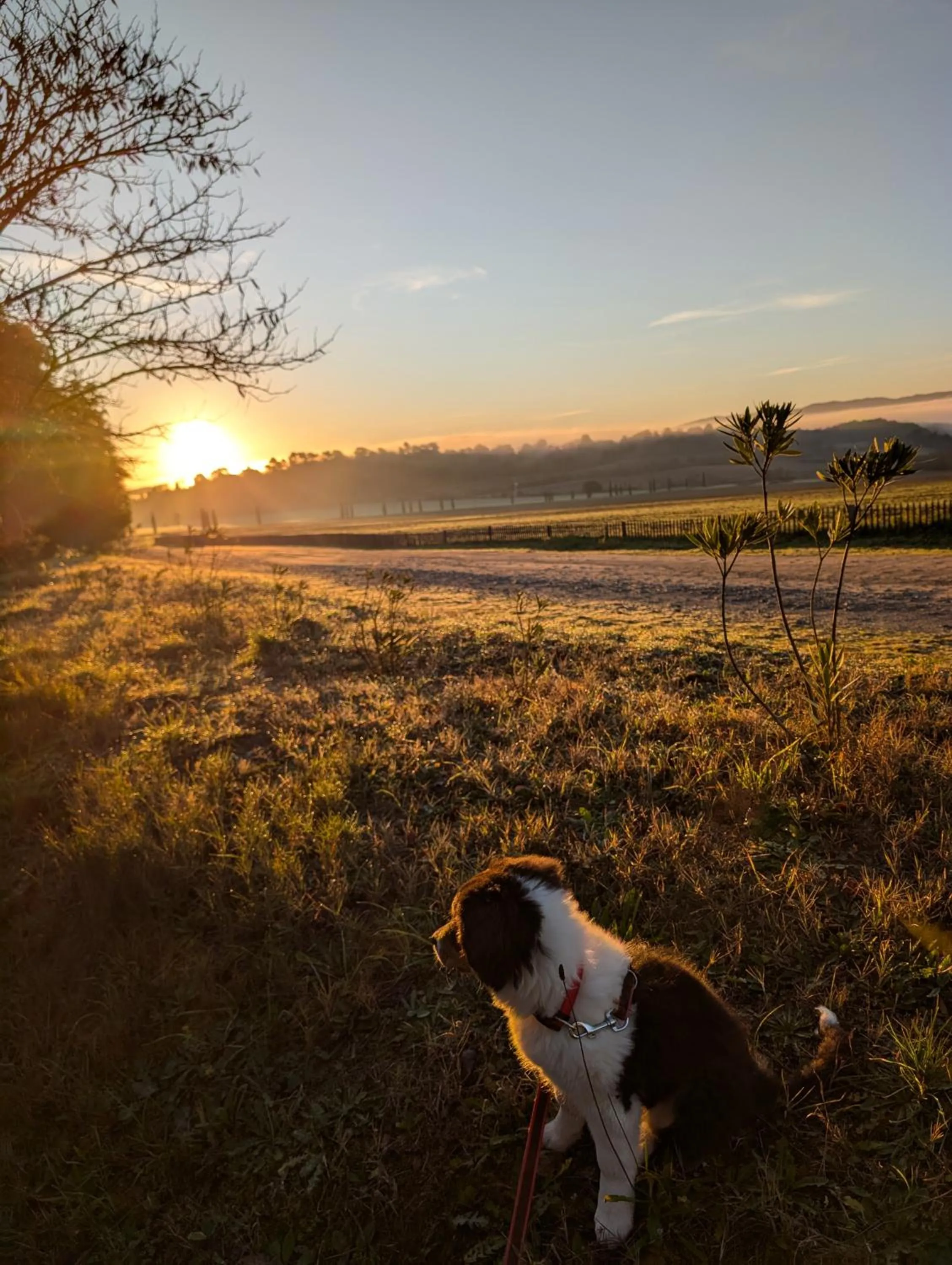 Garden in Les Cabanes Dans Les Bois Logis Hôtel