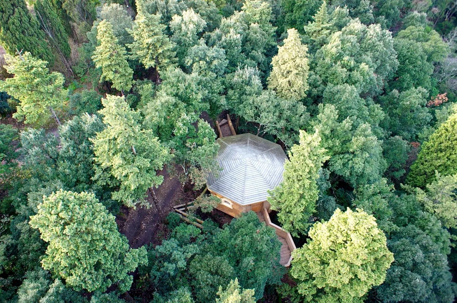 Garden view in Les Cabanes Dans Les Bois Logis Hôtel