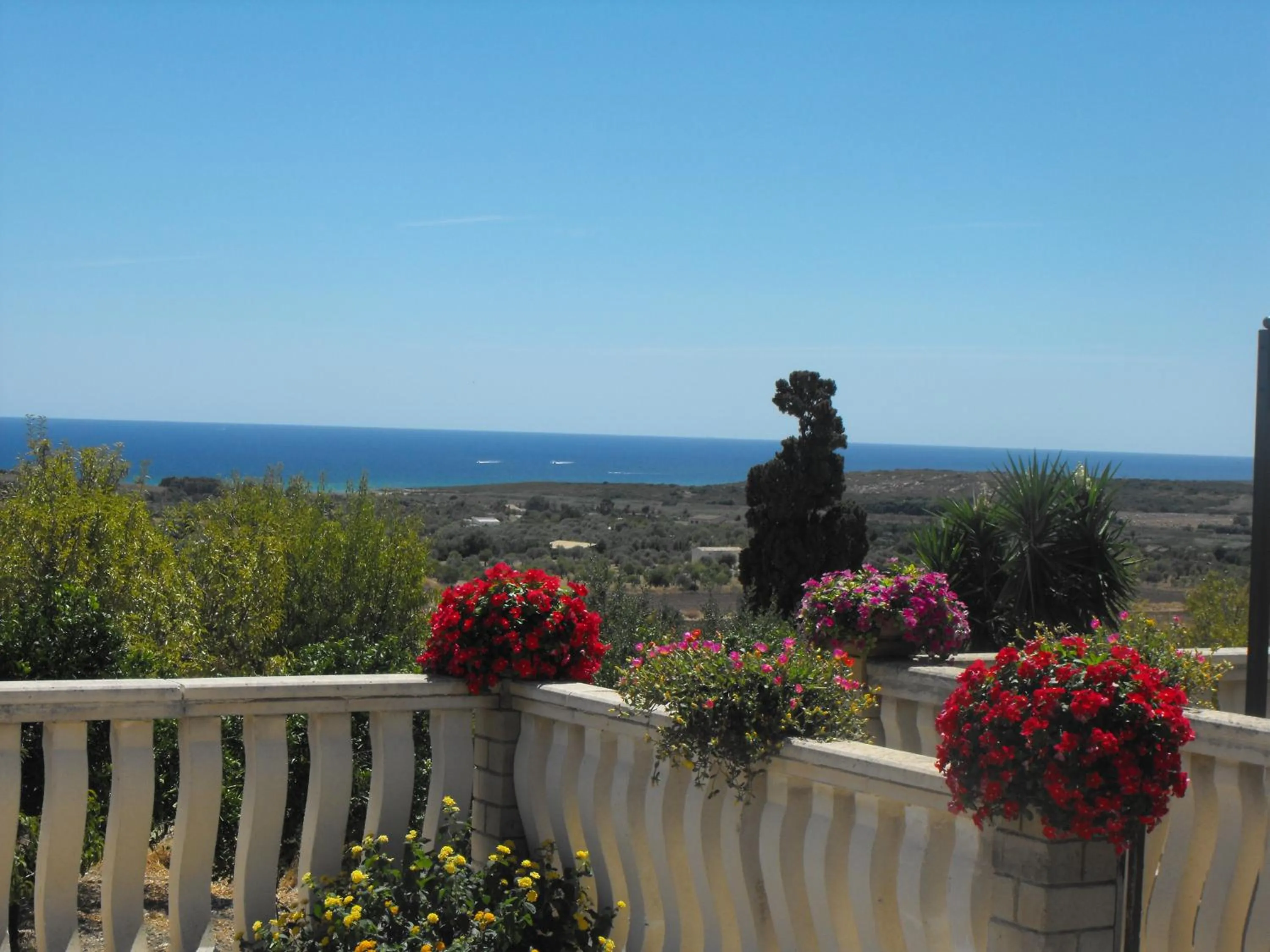 Balcony/Terrace in Agriturismoeloropizzuta