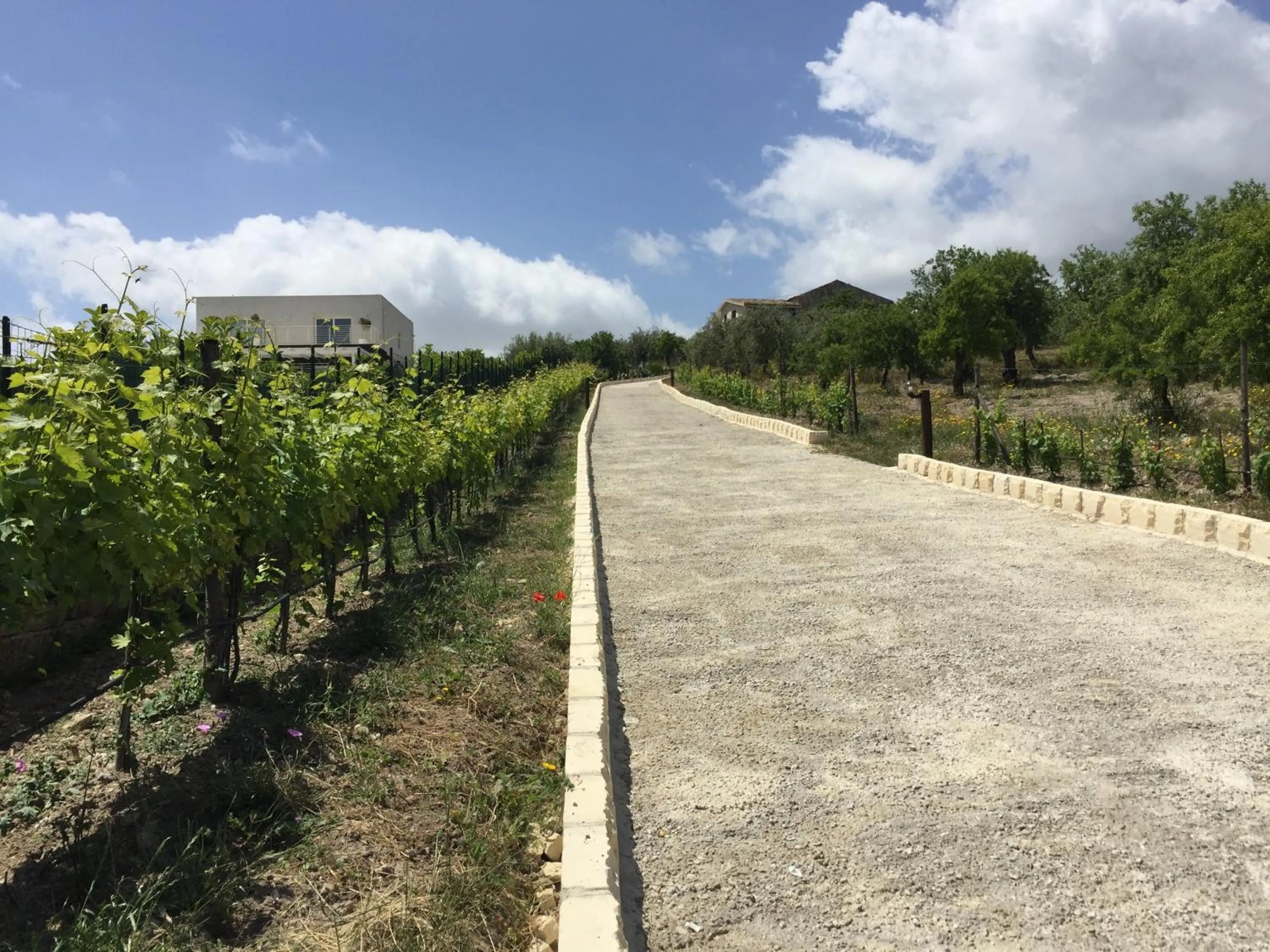 Location in Agriturismoeloropizzuta