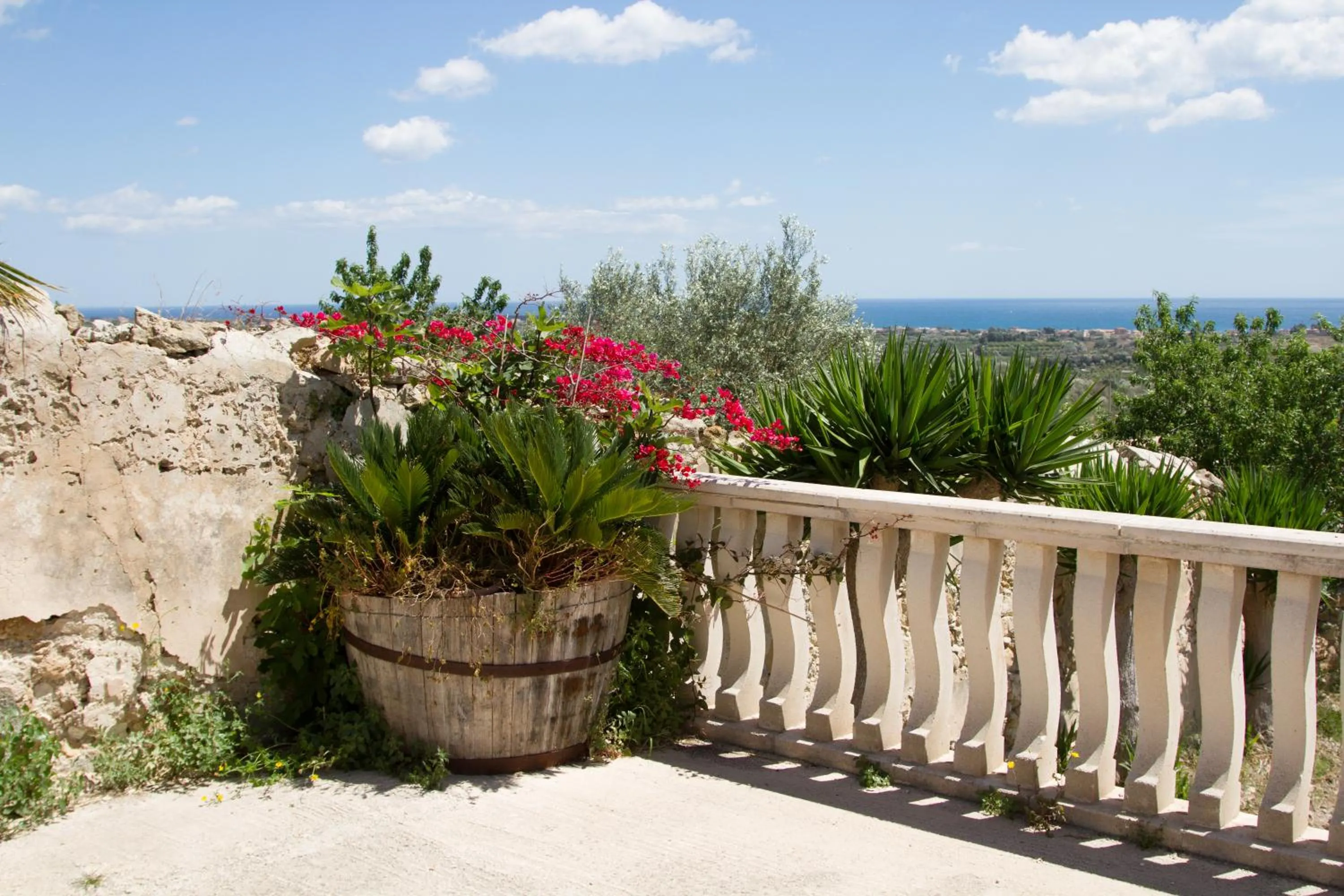 Property building in Agriturismoeloropizzuta