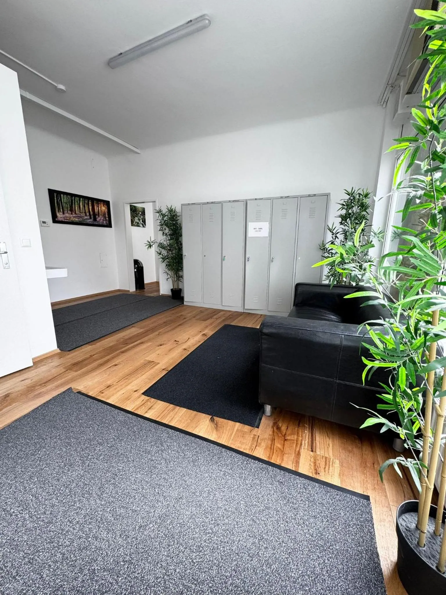 Robin Wood Capsule Hostel