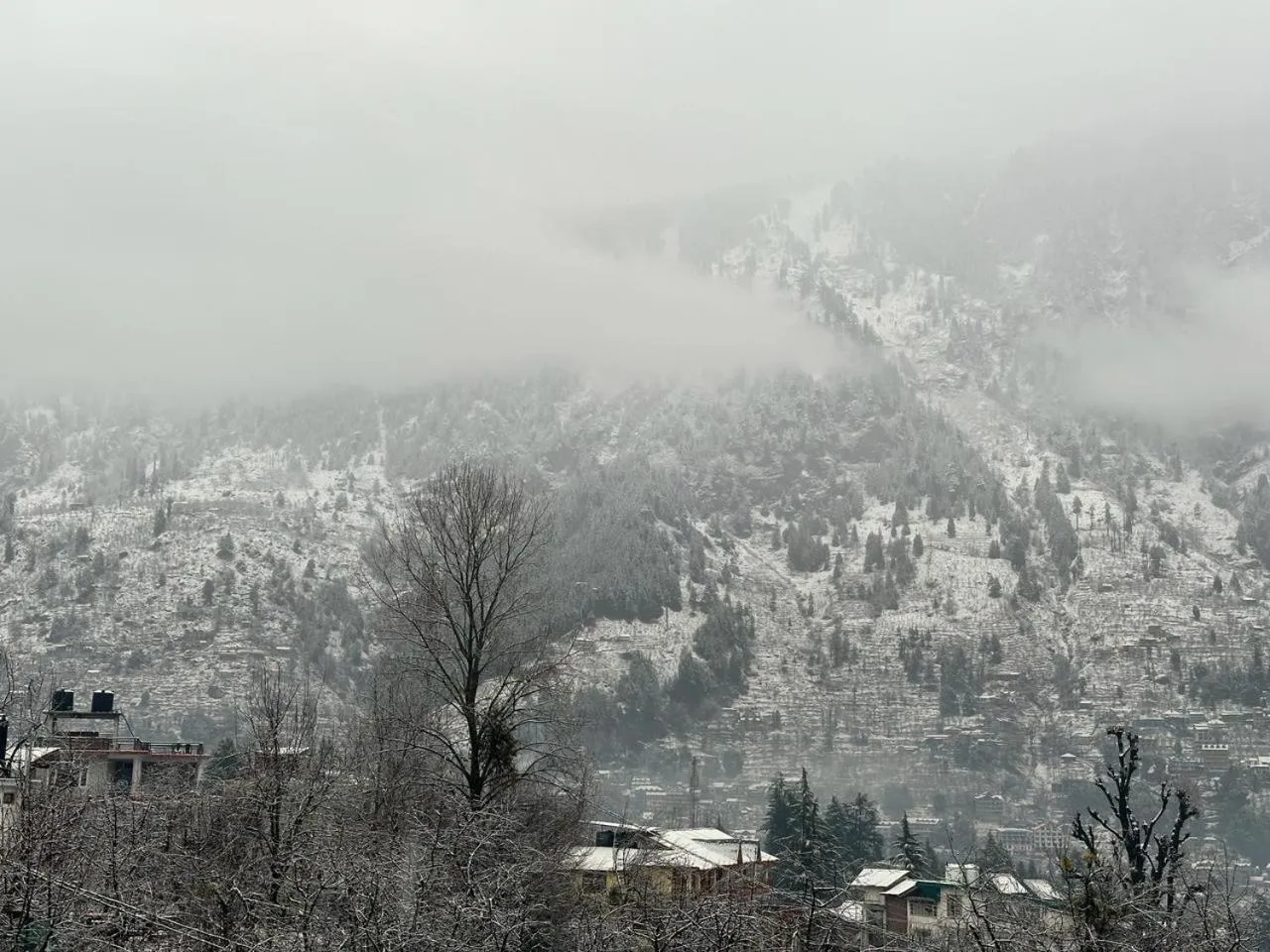 View (from property/room) in Beholden Stay And Cafe - A Luxury Boutique Hotel In Manali