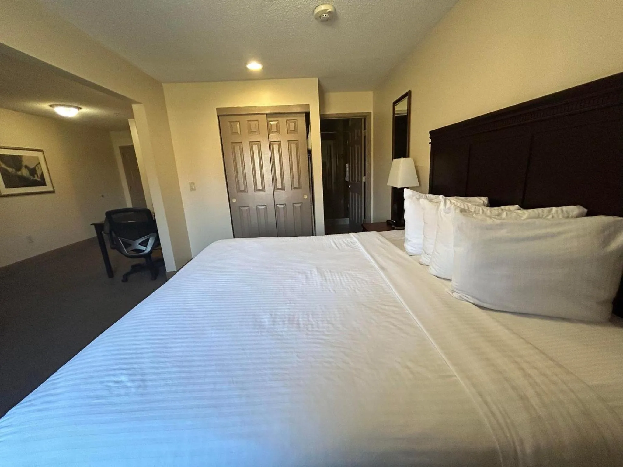 Swimming pool, Bed in Ashley Quarters Hotel Airport-Cincinnati