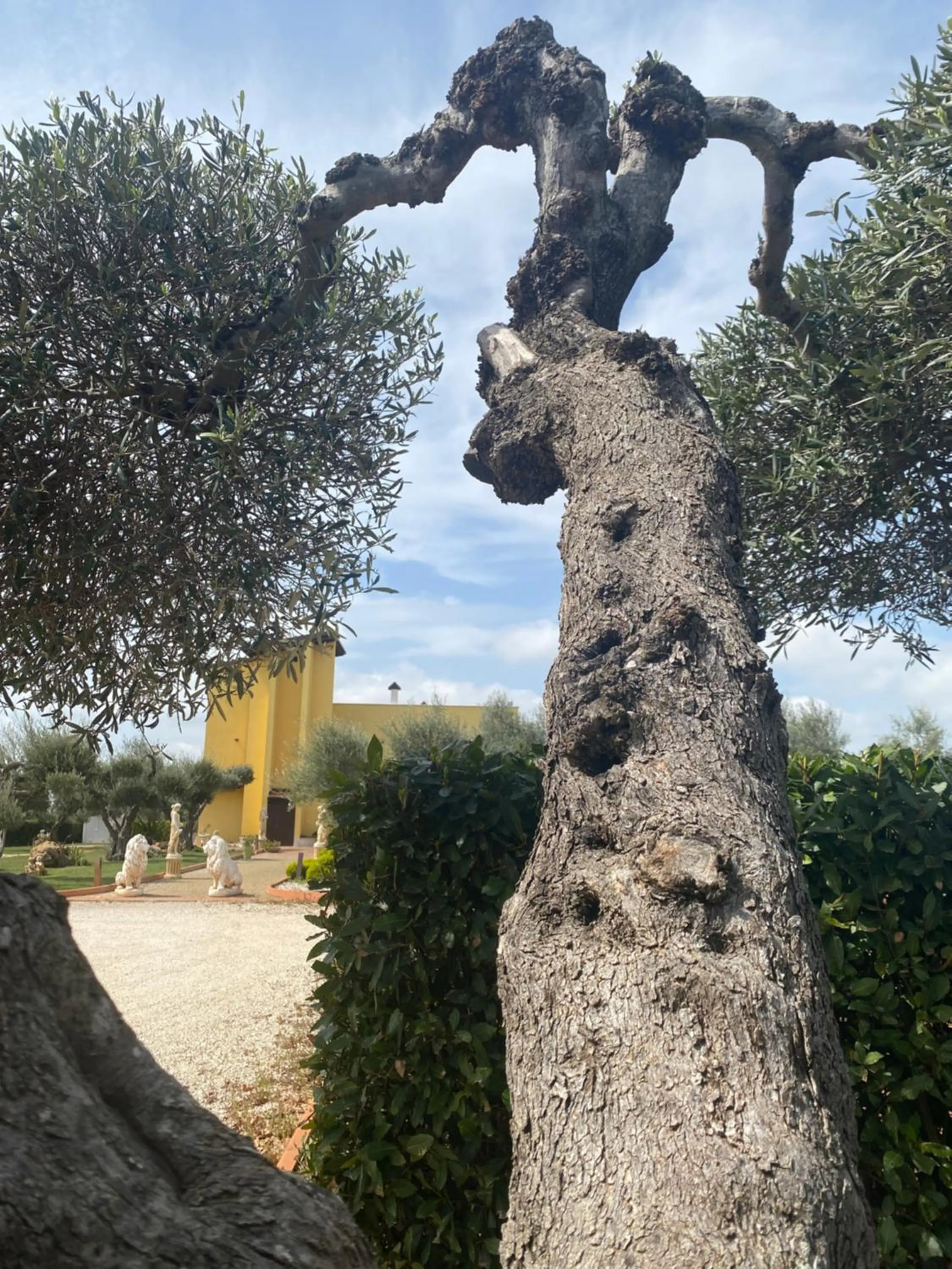 Property building in Villa D'Anzi B&B