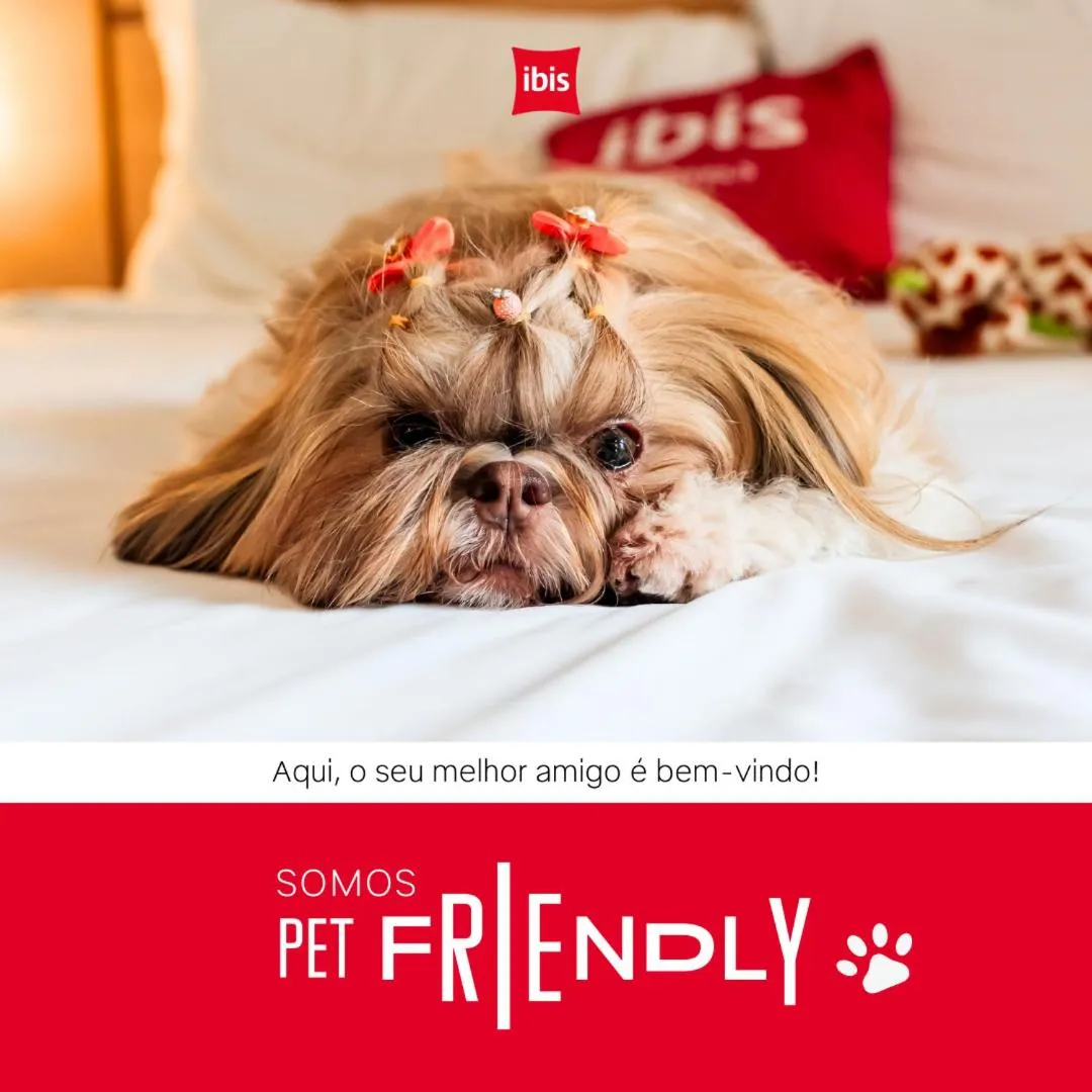 Pets in ibis Tubarão