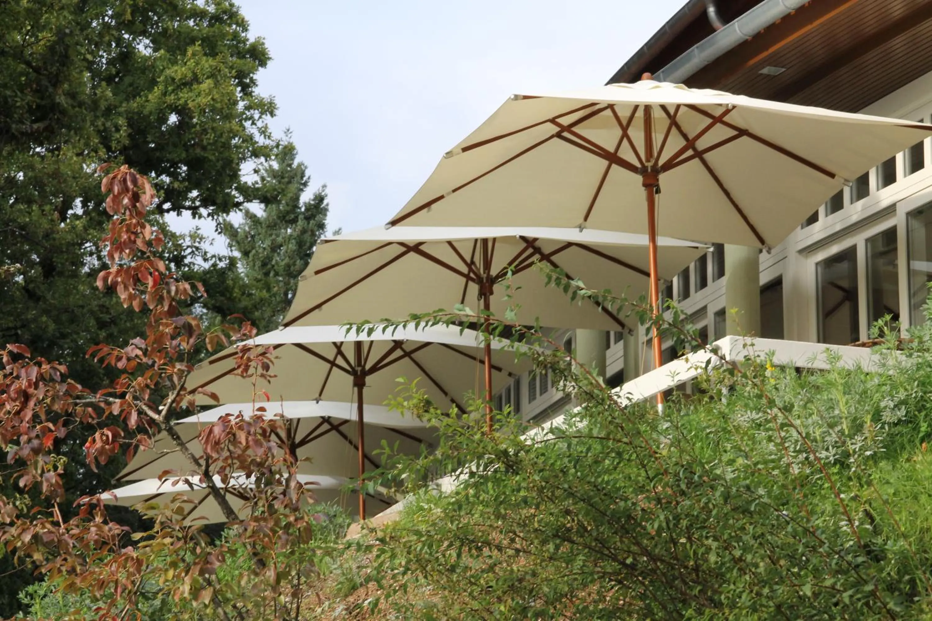 Restaurant/places to eat in Hotel Rural Misarela