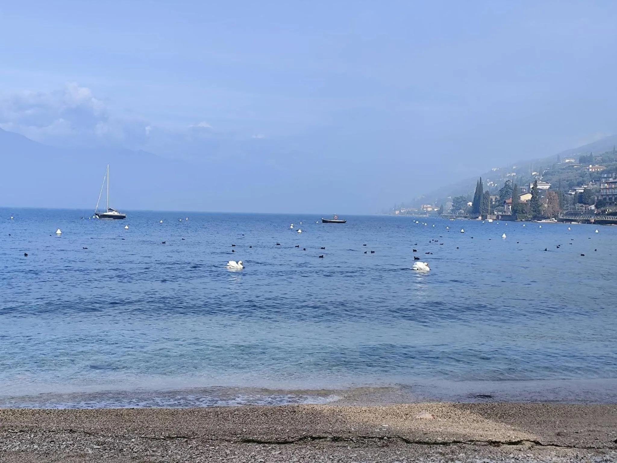 Bed and Breakfast Due Leoni