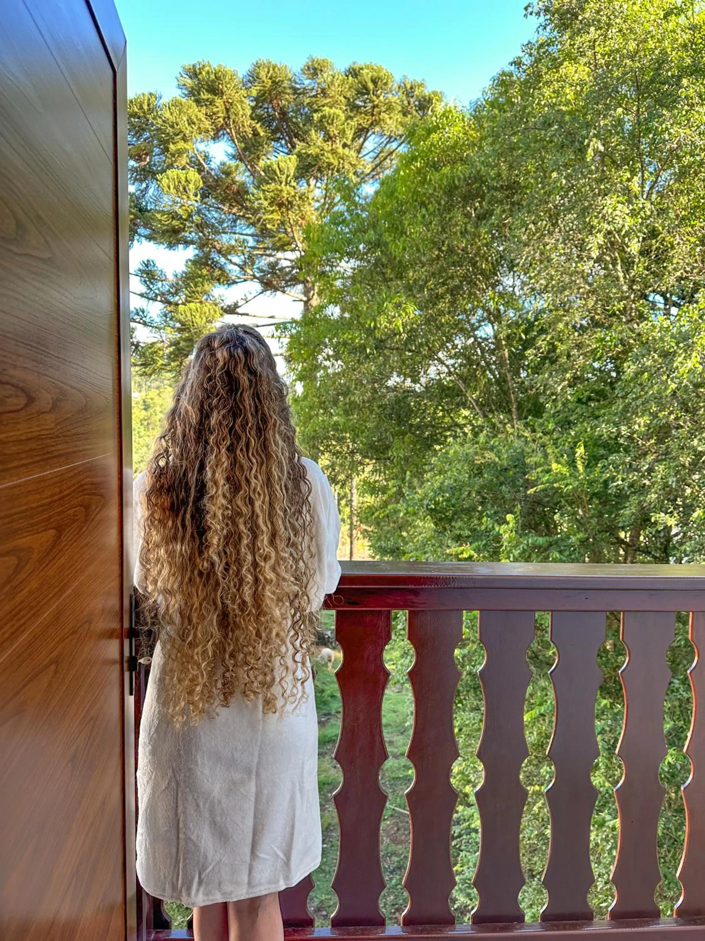 Property building in Hotel Schneider