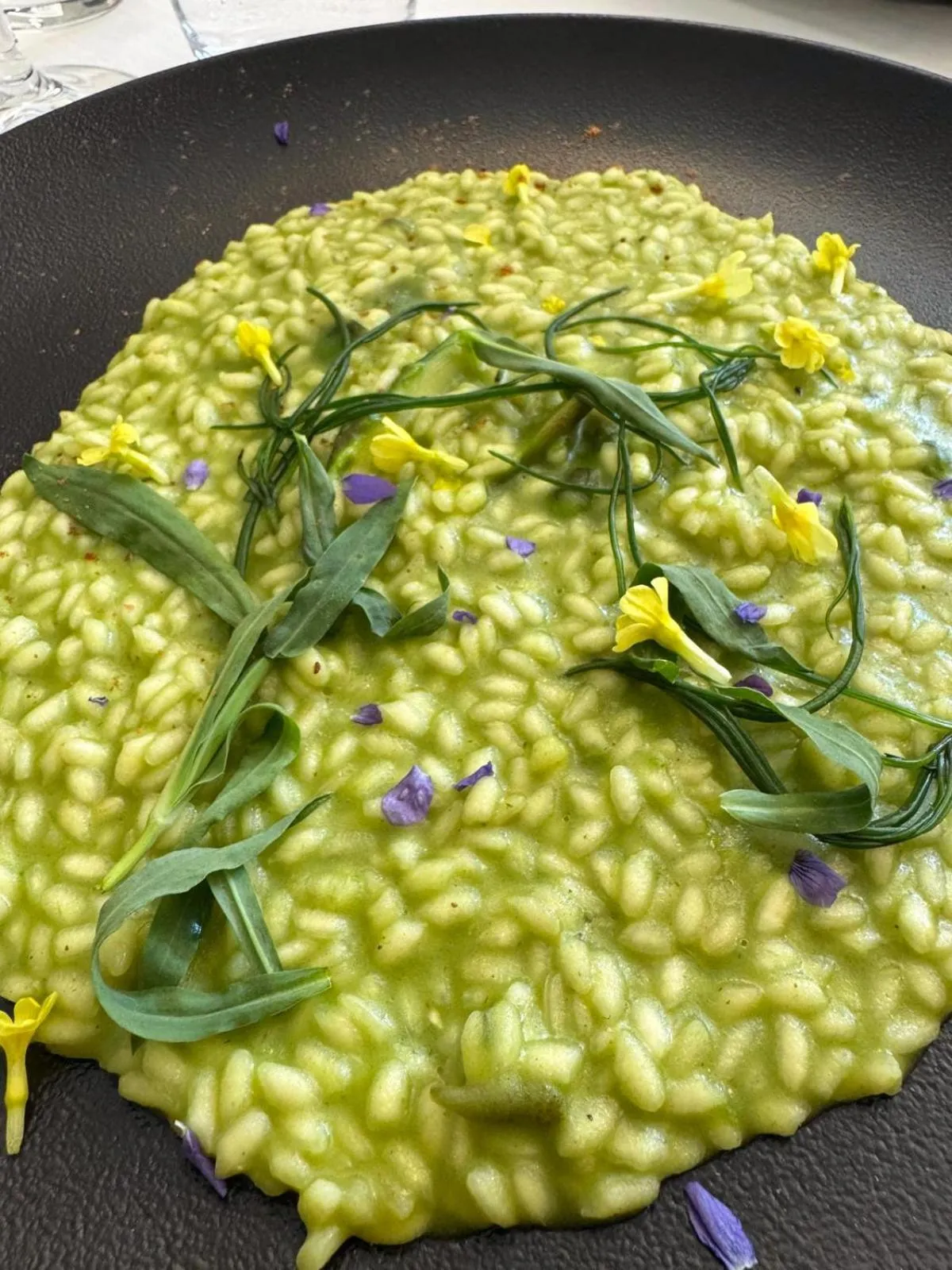 Restaurant/places to eat in Hotel Saisera